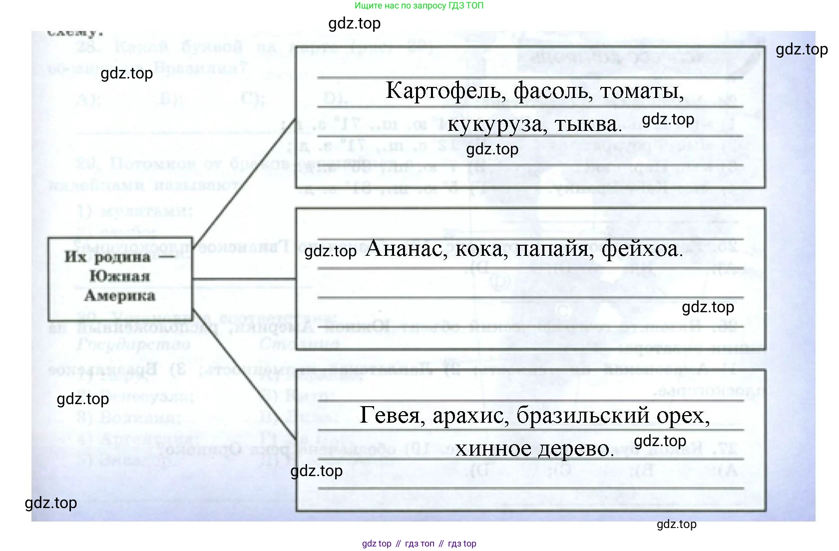 География, 7 класс Мой тренажёр, автор: Николина Вера Викторовна, издательство Просвещение, Москва, 2023, жёлтого цвета, страница 53, номер 22, Решение