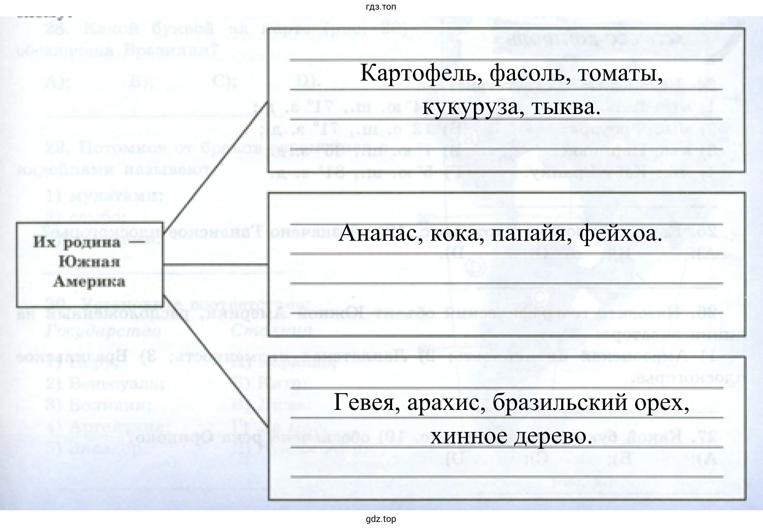  Южная Америка – родина многих культурных растений