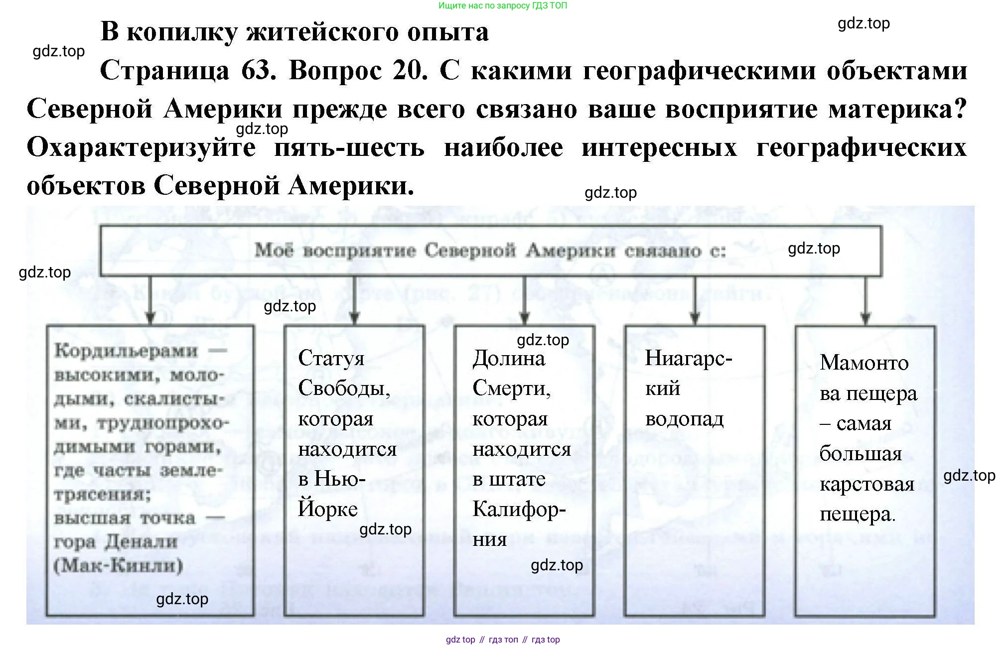 География, 7 класс Мой тренажёр, автор: Николина Вера Викторовна, издательство Просвещение, Москва, 2023, жёлтого цвета, страница 63, номер 20, Решение