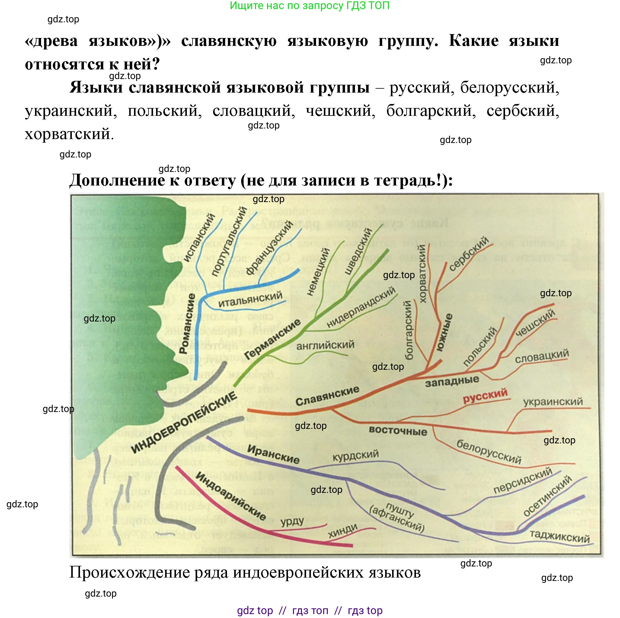 География, 7 класс Мой тренажёр, автор: Николина Вера Викторовна, издательство Просвещение, Москва, 2023, жёлтого цвета, страница 7, номер 2, Решение 2 (продолжение 2)
