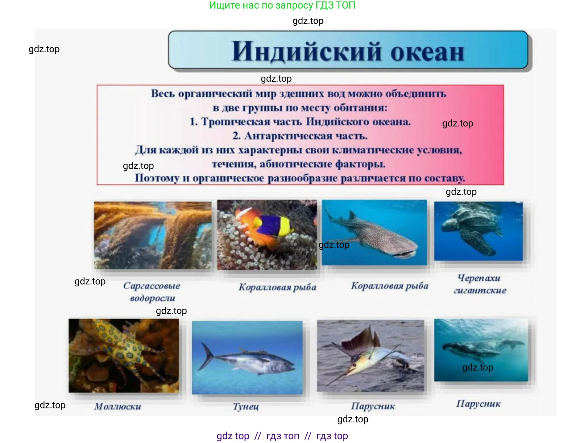 География, 7 класс Мой тренажёр, автор: Николина Вера Викторовна, издательство Просвещение, Москва, 2023, жёлтого цвета, страница 17, номер 24, Решение 2 (продолжение 6)