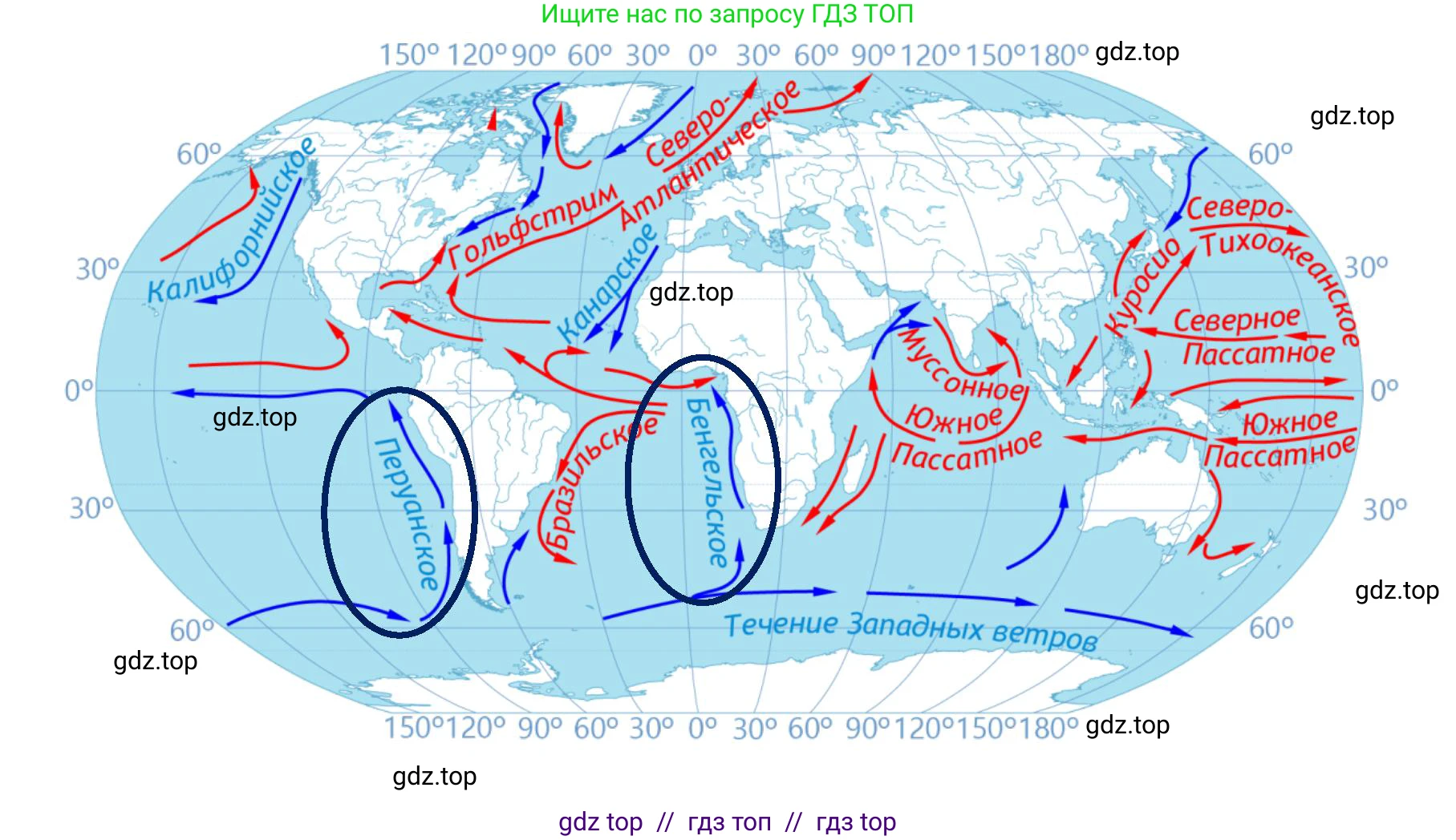 География, 7 класс Мой тренажёр, автор: Николина Вера Викторовна, издательство Просвещение, Москва, 2023, жёлтого цвета, страница 20, номер 41, Решение 2 (продолжение 2)
