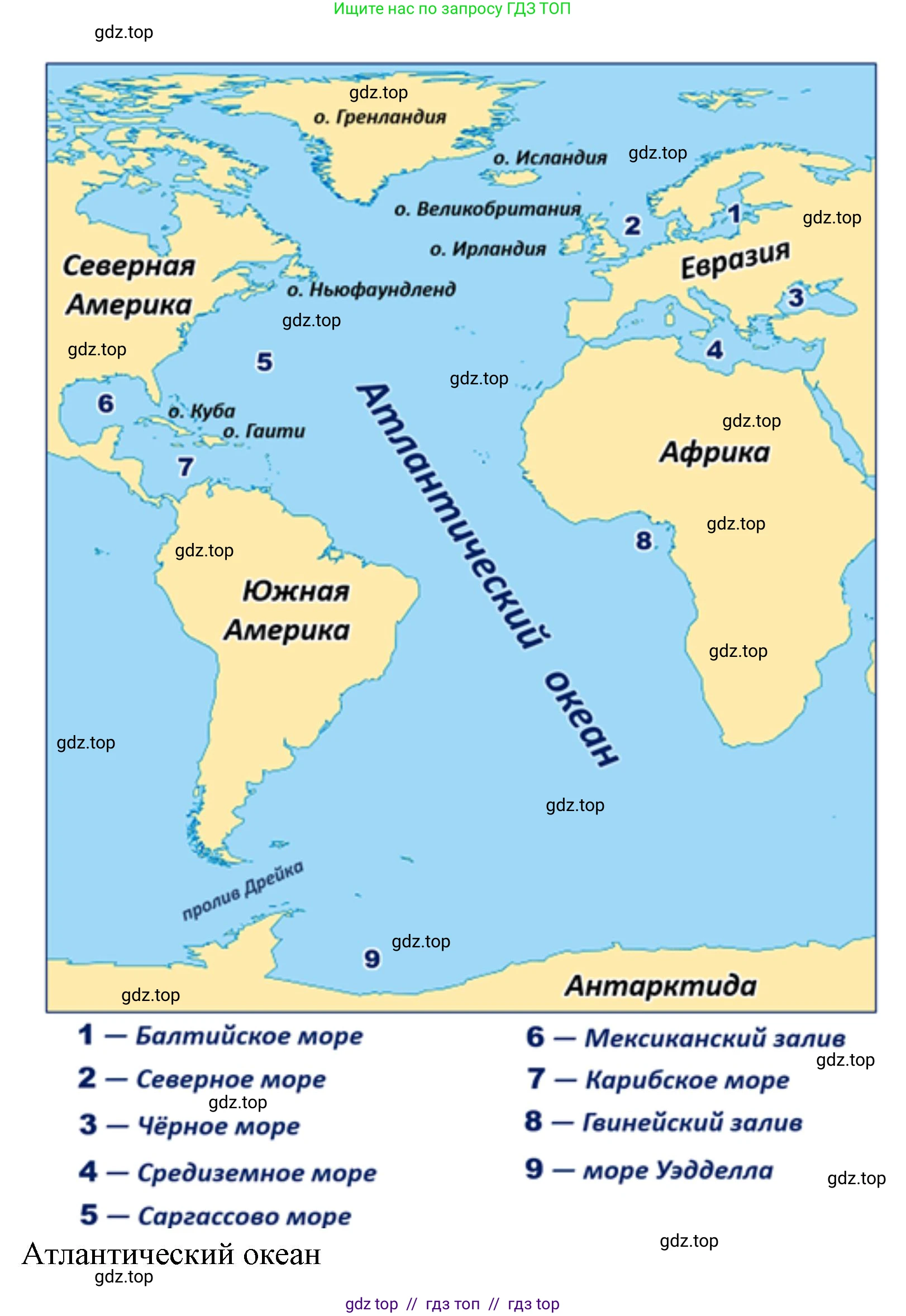 География, 7 класс Мой тренажёр, автор: Николина Вера Викторовна, издательство Просвещение, Москва, 2023, жёлтого цвета, страница 24, номер 11, Решение 2 (продолжение 4)