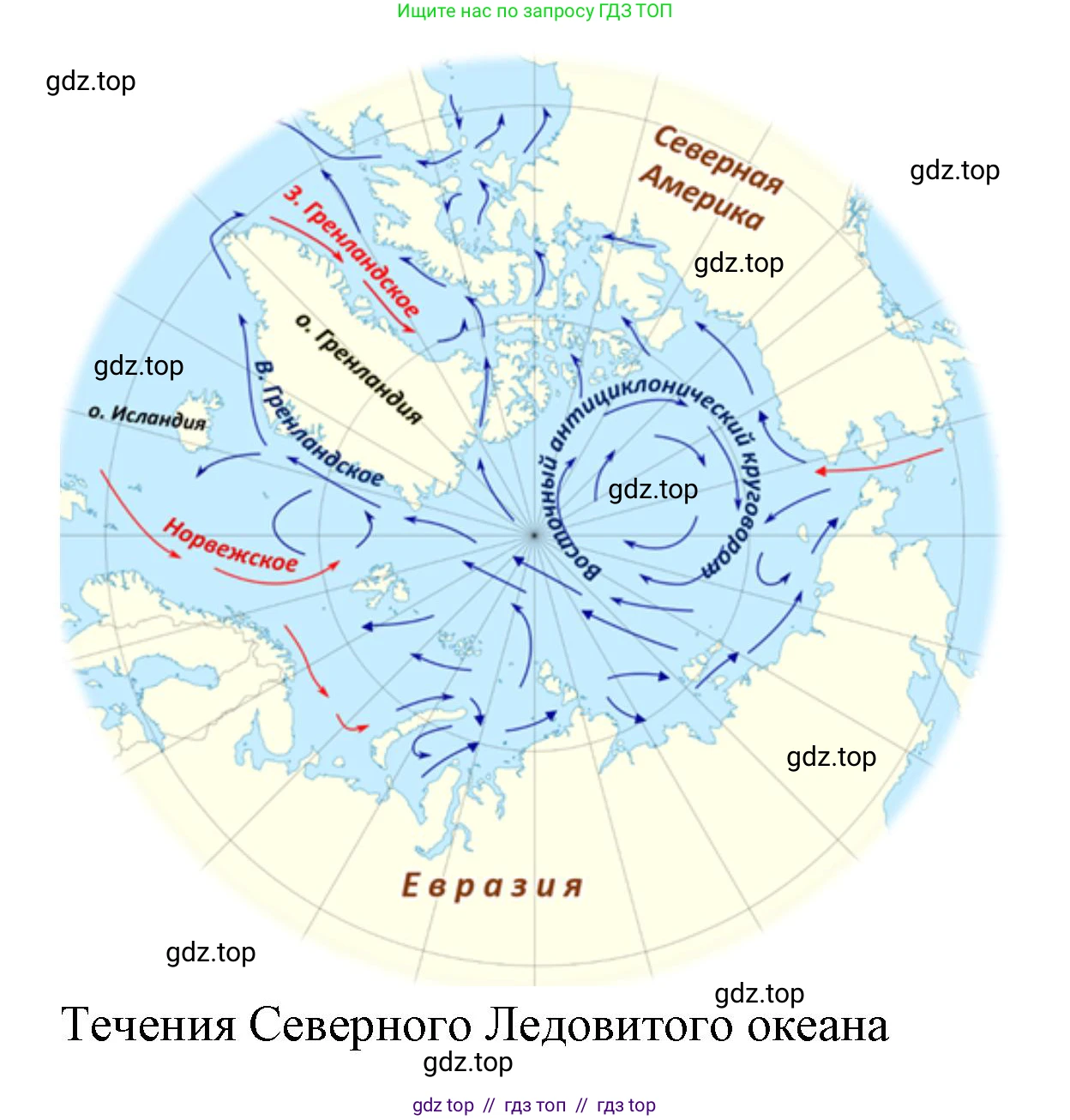 География, 7 класс Мой тренажёр, автор: Николина Вера Викторовна, издательство Просвещение, Москва, 2023, жёлтого цвета, страница 22, номер 5, Решение 2 (продолжение 4)