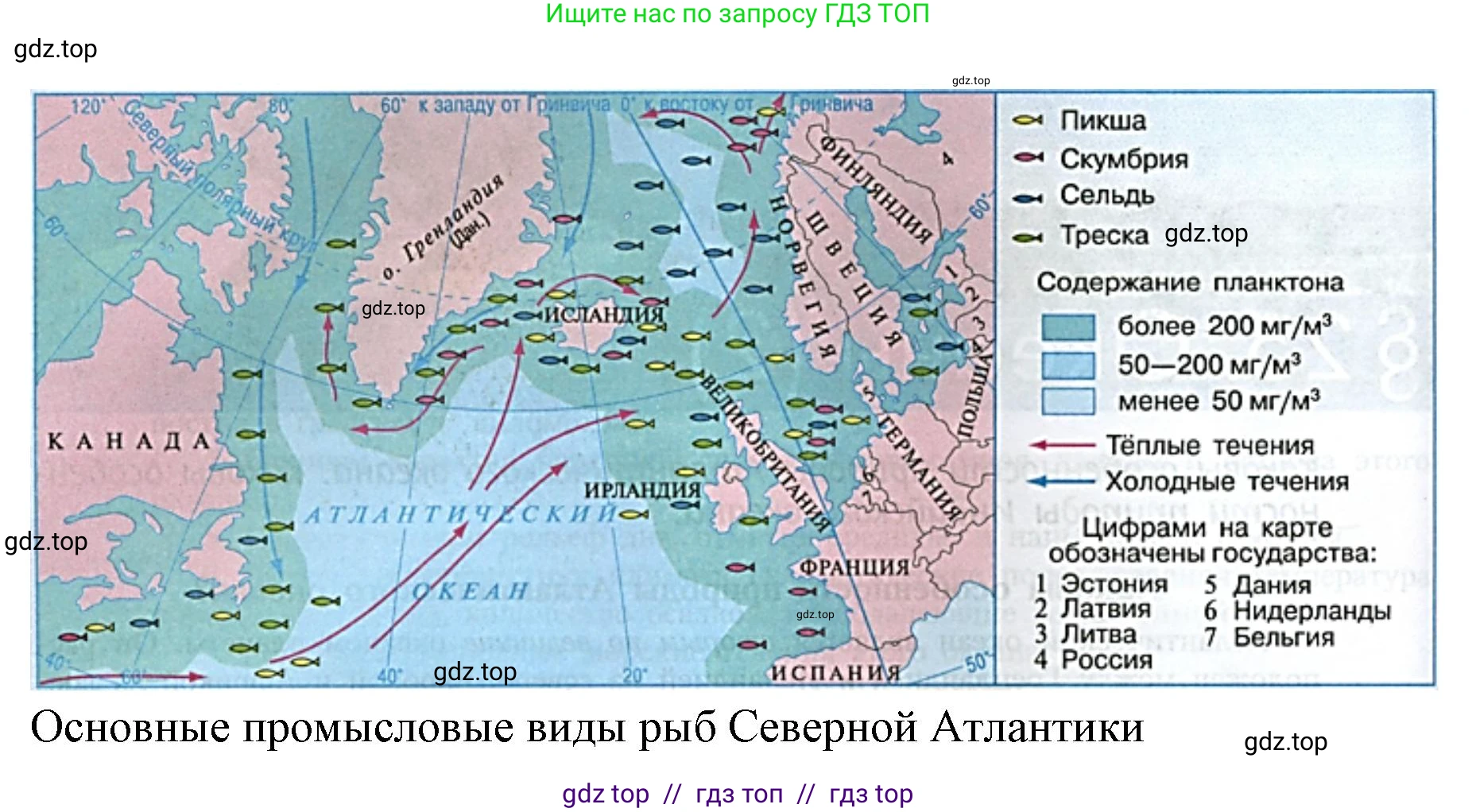 География, 7 класс Мой тренажёр, автор: Николина Вера Викторовна, издательство Просвещение, Москва, 2023, жёлтого цвета, страница 23, номер 9, Решение 2 (продолжение 2)
