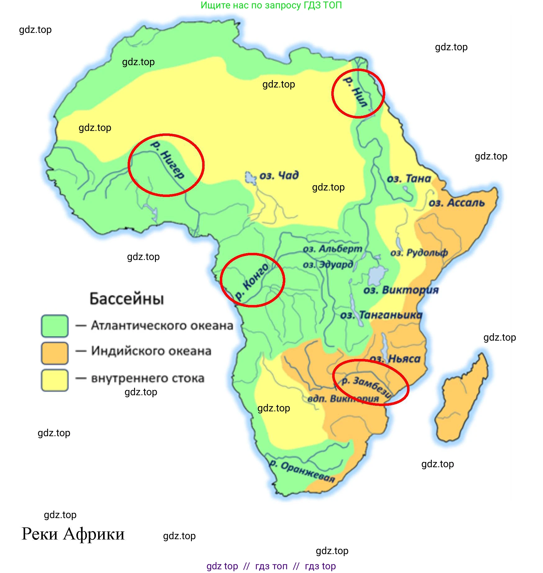 География, 7 класс Мой тренажёр, автор: Николина Вера Викторовна, издательство Просвещение, Москва, 2023, жёлтого цвета, страница 32, номер 15, Решение 2 (продолжение 2)