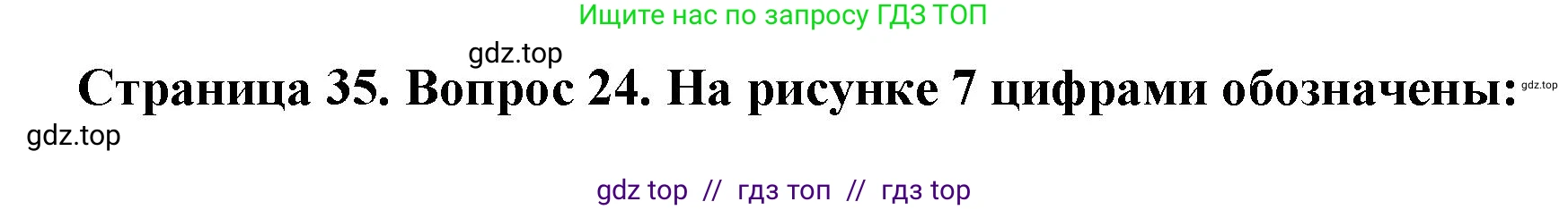 География, 7 класс Мой тренажёр, автор: Николина Вера Викторовна, издательство Просвещение, Москва, 2023, жёлтого цвета, страница 35, номер 24, Решение 2