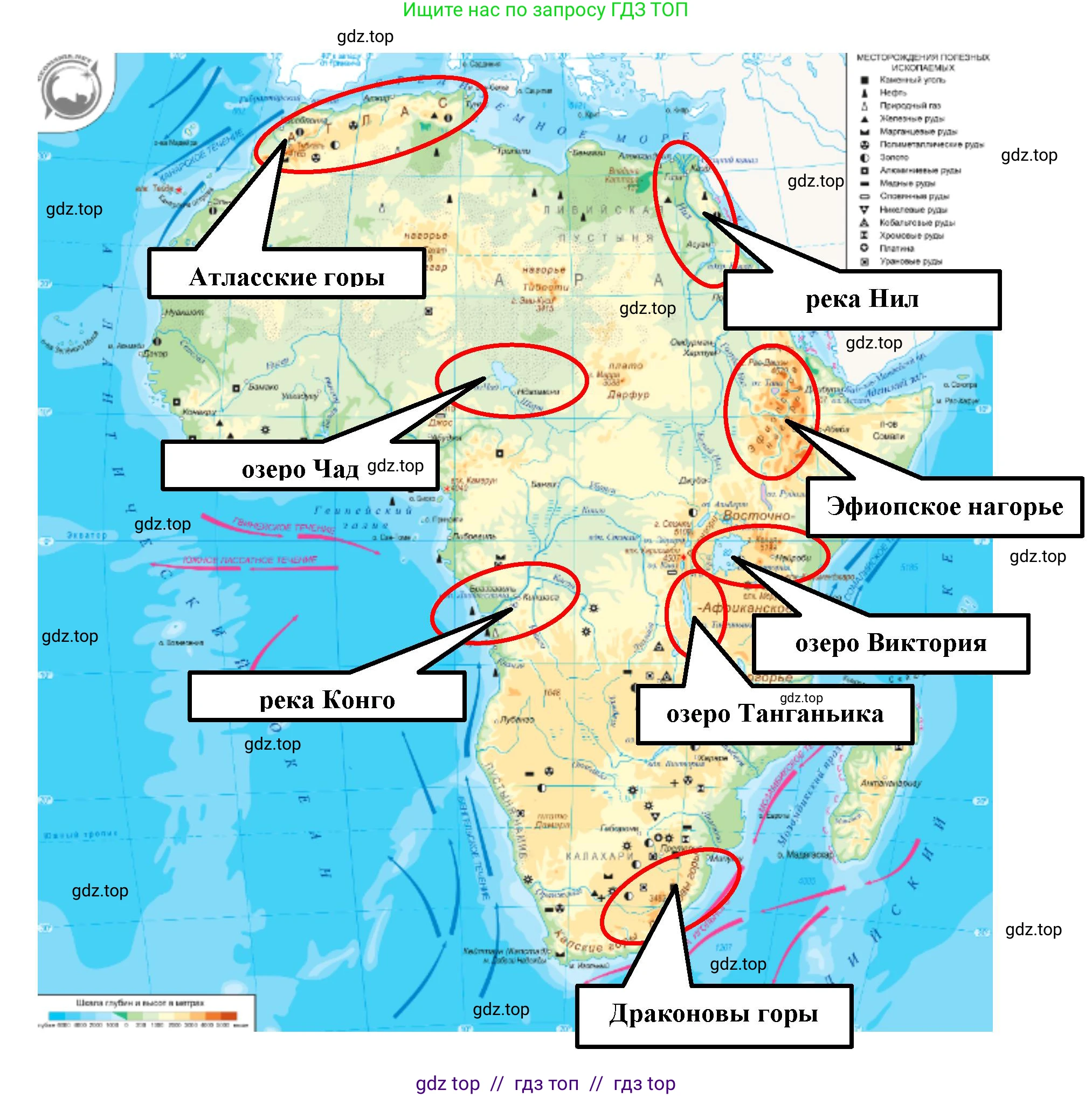 География, 7 класс Мой тренажёр, автор: Николина Вера Викторовна, издательство Просвещение, Москва, 2023, жёлтого цвета, страница 35, номер 24, Решение 2 (продолжение 3)