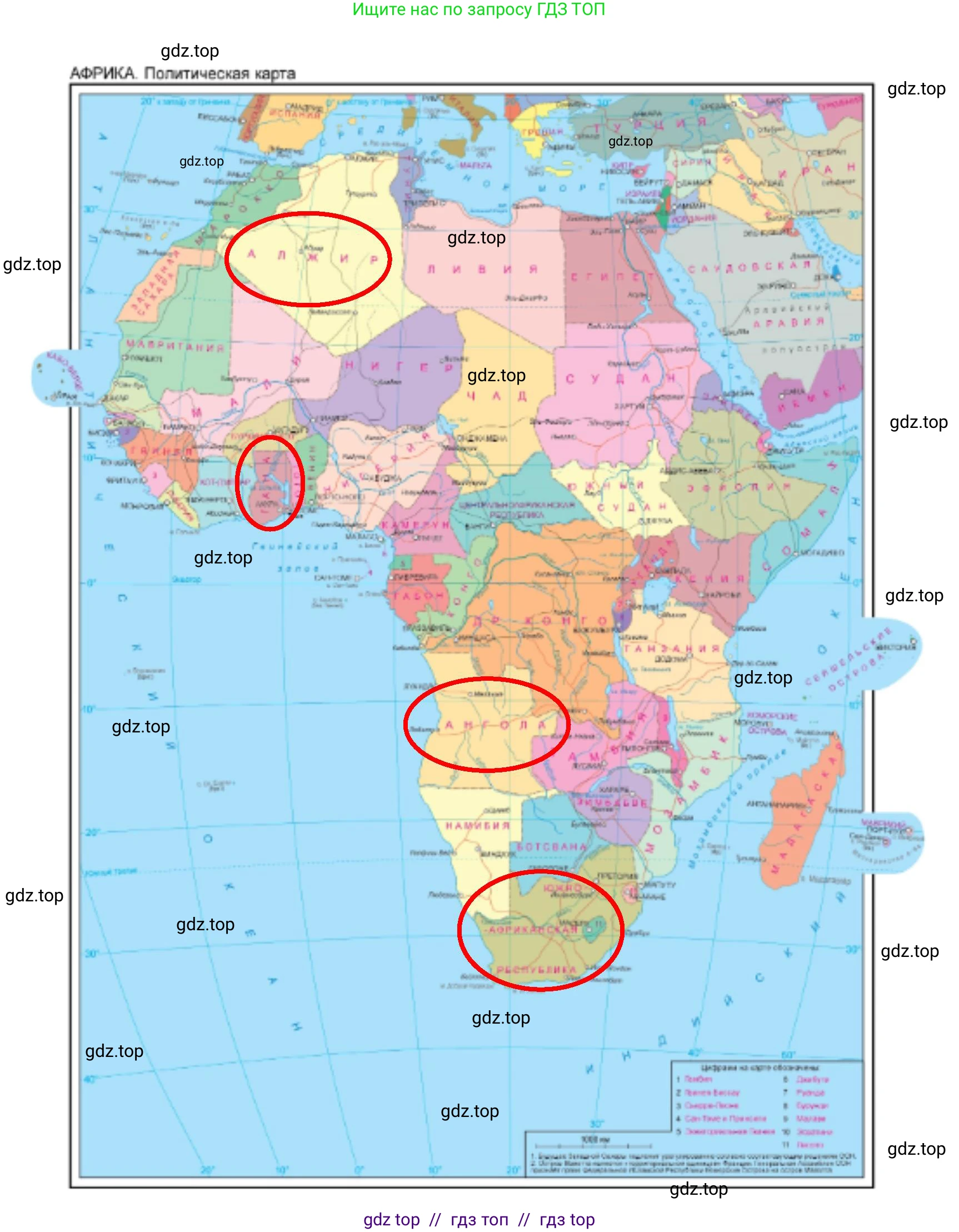 География, 7 класс Мой тренажёр, автор: Николина Вера Викторовна, издательство Просвещение, Москва, 2023, жёлтого цвета, страница 36, номер 30, Решение 2 (продолжение 2)