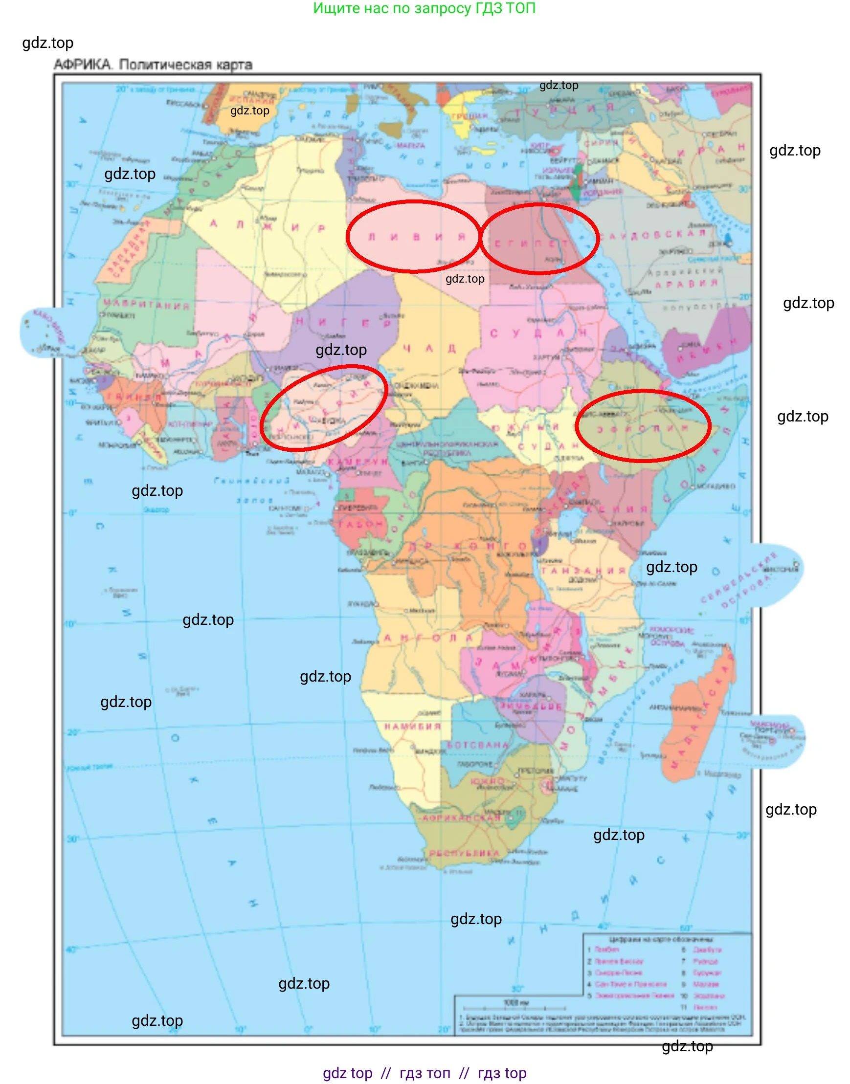 География, 7 класс Мой тренажёр, автор: Николина Вера Викторовна, издательство Просвещение, Москва, 2023, жёлтого цвета, страница 36, номер 31, Решение 2 (продолжение 2)