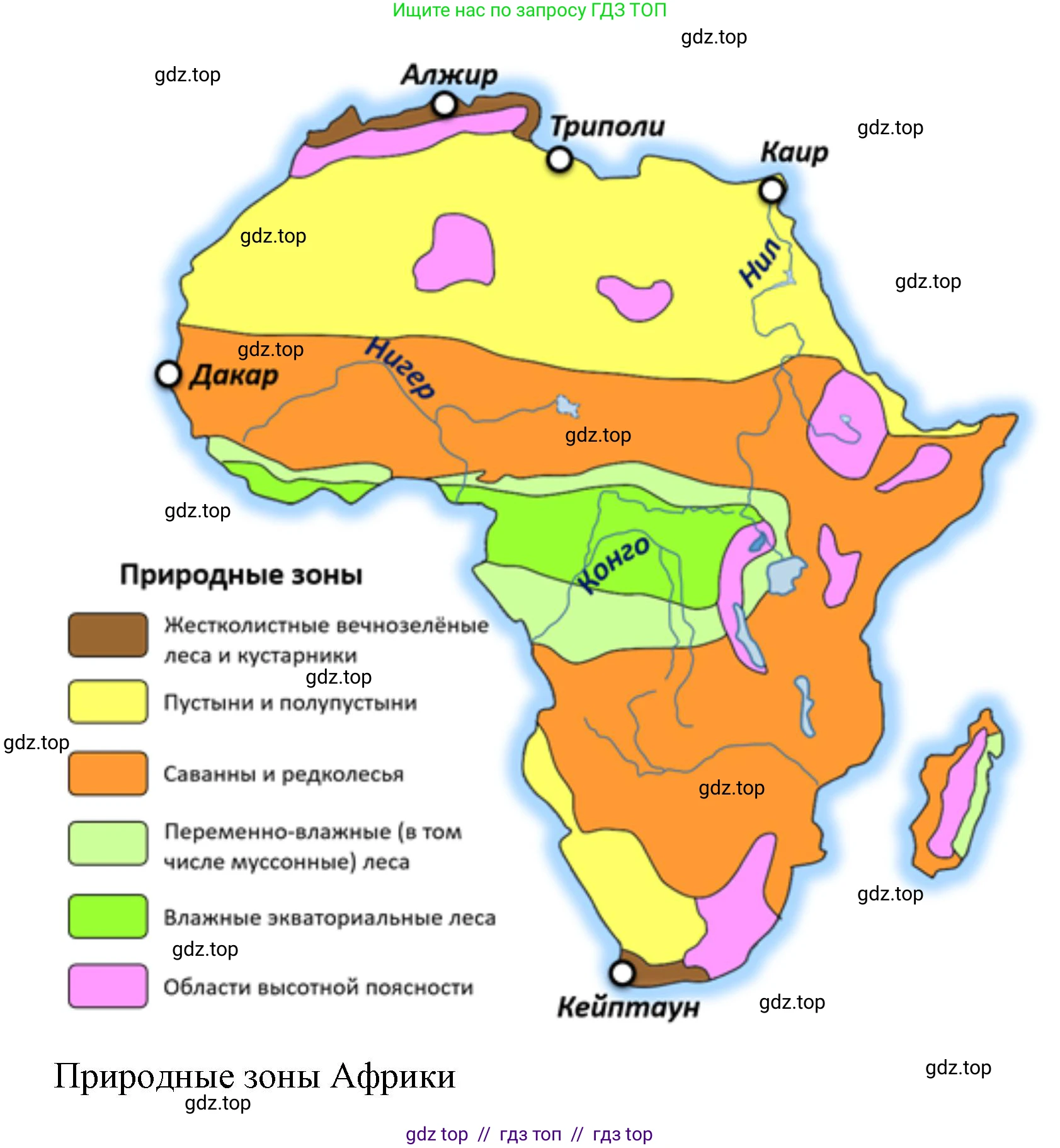 География, 7 класс Мой тренажёр, автор: Николина Вера Викторовна, издательство Просвещение, Москва, 2023, жёлтого цвета, страница 37, номер 33, Решение 2 (продолжение 2)