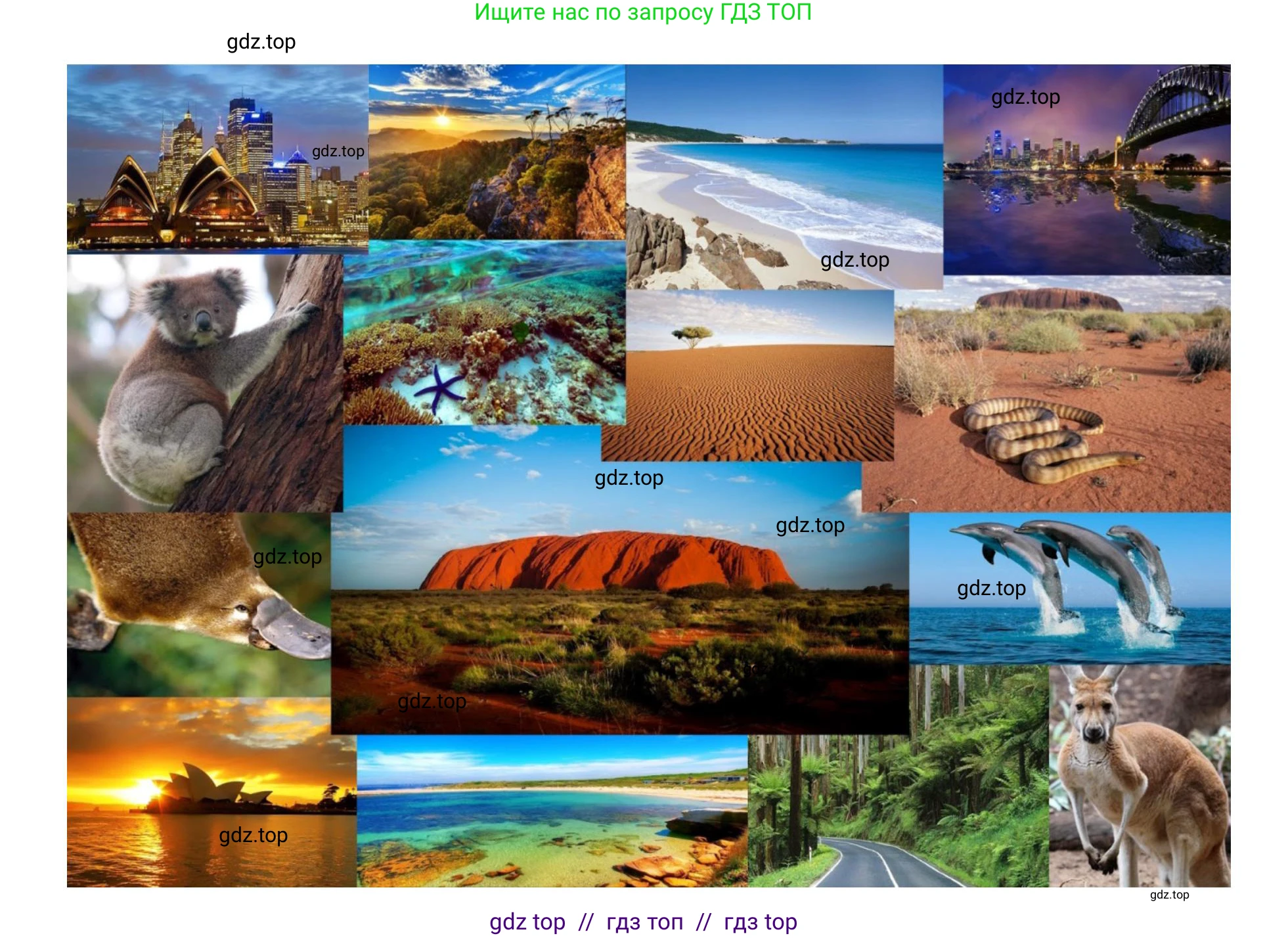 География, 7 класс Мой тренажёр, автор: Николина Вера Викторовна, издательство Просвещение, Москва, 2023, жёлтого цвета, страница 41, номер 12, Решение 2 (продолжение 2)