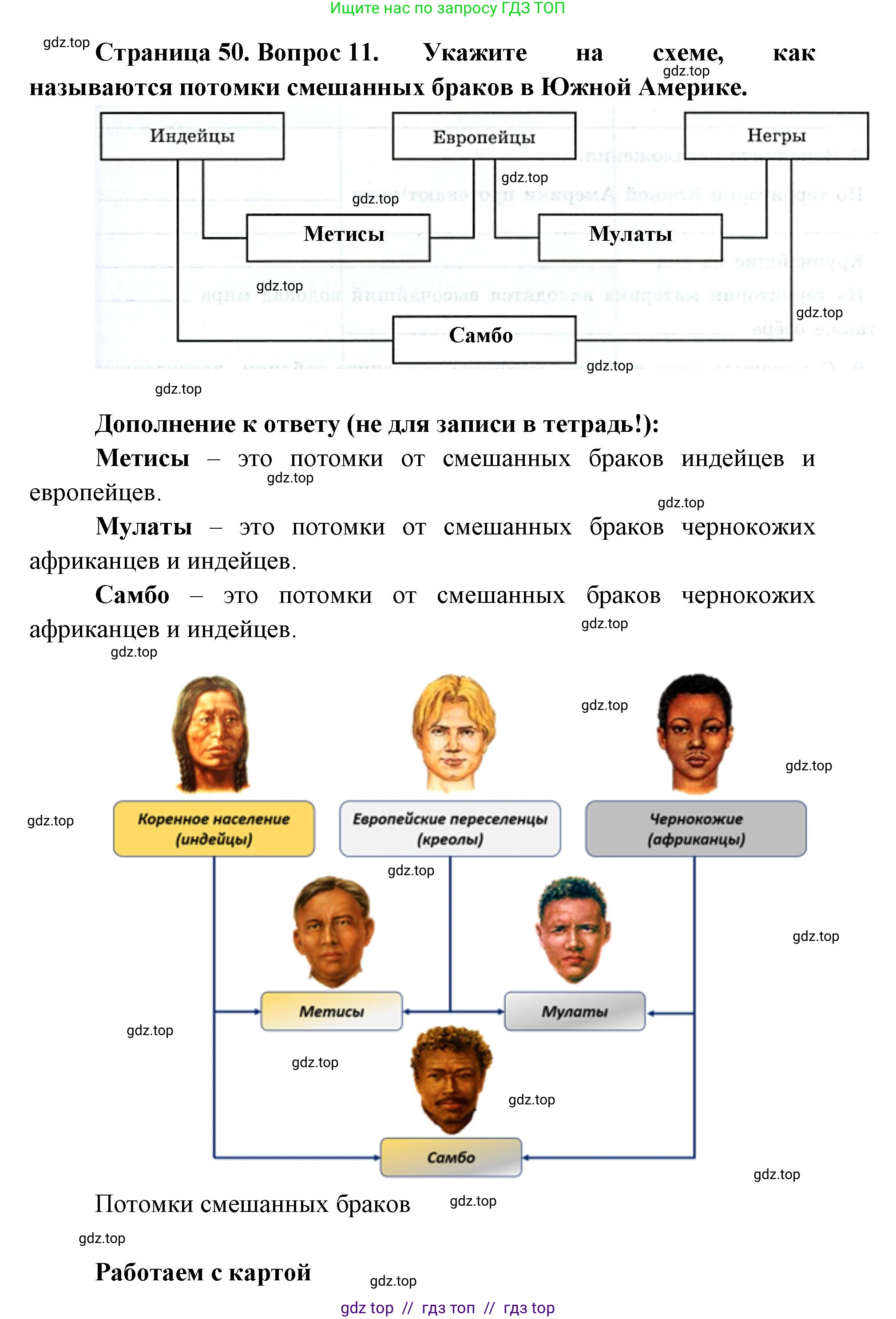 География, 7 класс Мой тренажёр, автор: Николина Вера Викторовна, издательство Просвещение, Москва, 2023, жёлтого цвета, страница 50, номер 11, Решение 2