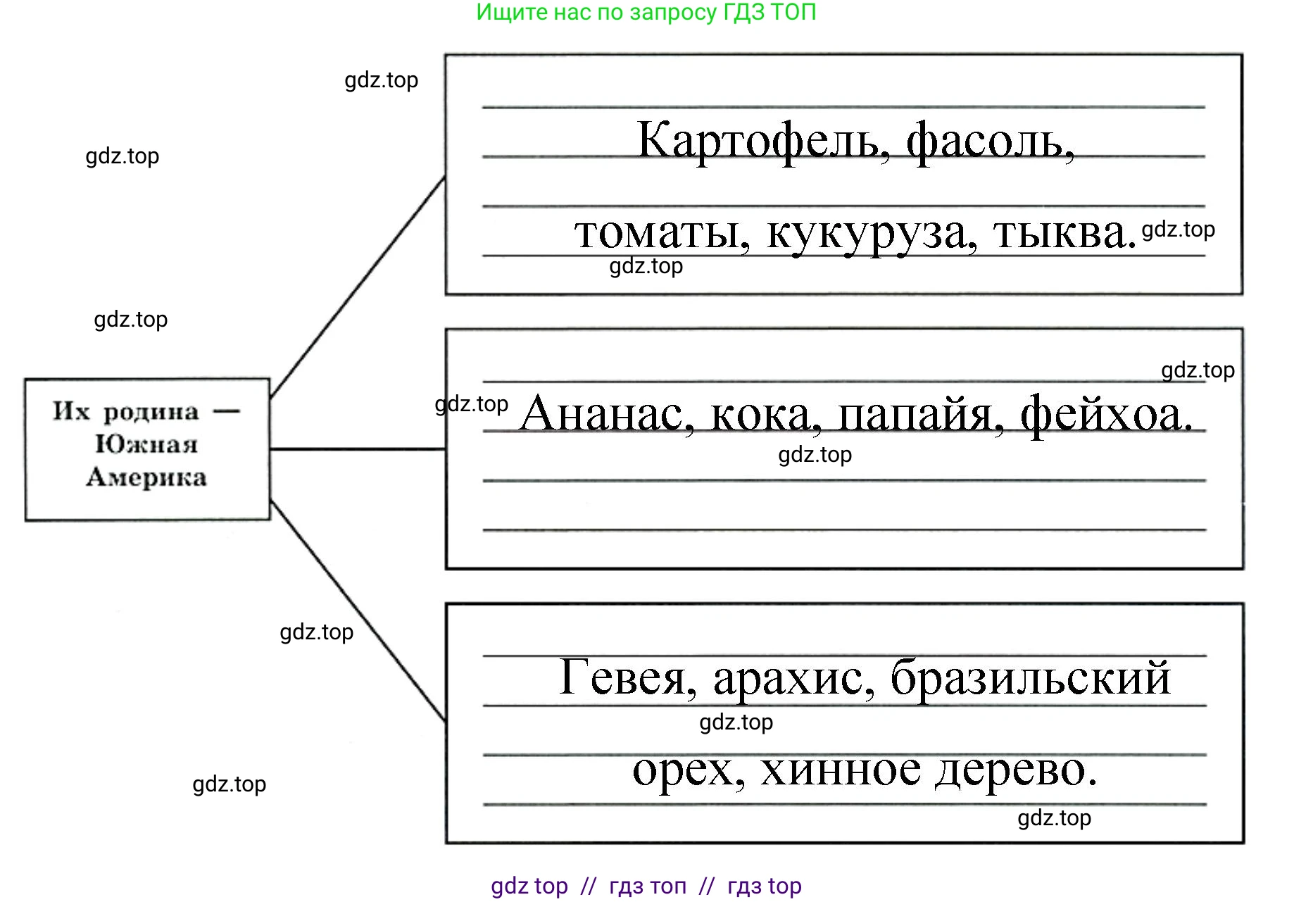 География, 7 класс Мой тренажёр, автор: Николина Вера Викторовна, издательство Просвещение, Москва, 2023, жёлтого цвета, страница 53, номер 22, Решение 2 (продолжение 2)