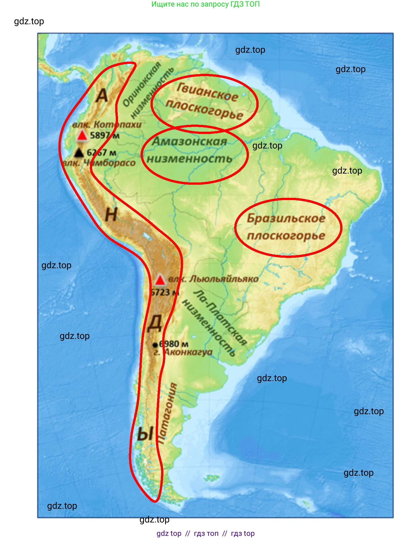 География, 7 класс Мой тренажёр, автор: Николина Вера Викторовна, издательство Просвещение, Москва, 2023, жёлтого цвета, страница 54, номер 25, Решение 2 (продолжение 3)