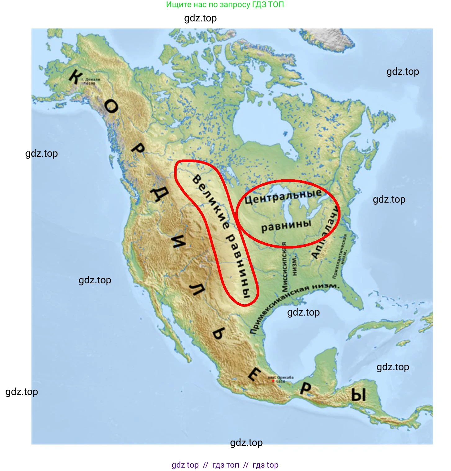 География, 7 класс Мой тренажёр, автор: Николина Вера Викторовна, издательство Просвещение, Москва, 2023, жёлтого цвета, страница 62, номер 17, Решение 2 (продолжение 2)