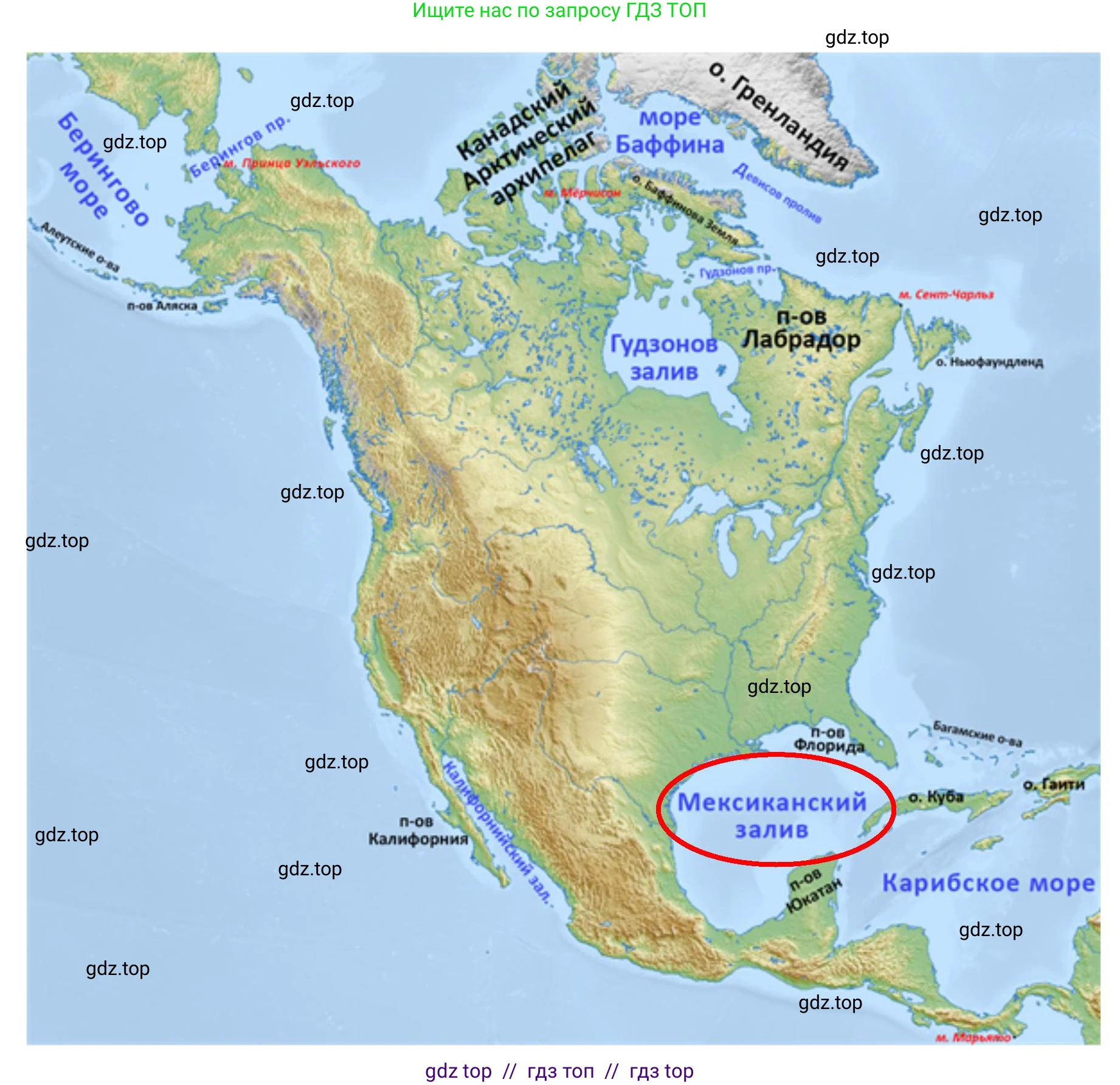 География, 7 класс Мой тренажёр, автор: Николина Вера Викторовна, издательство Просвещение, Москва, 2023, жёлтого цвета, страница 64, номер 21, Решение 2 (продолжение 3)