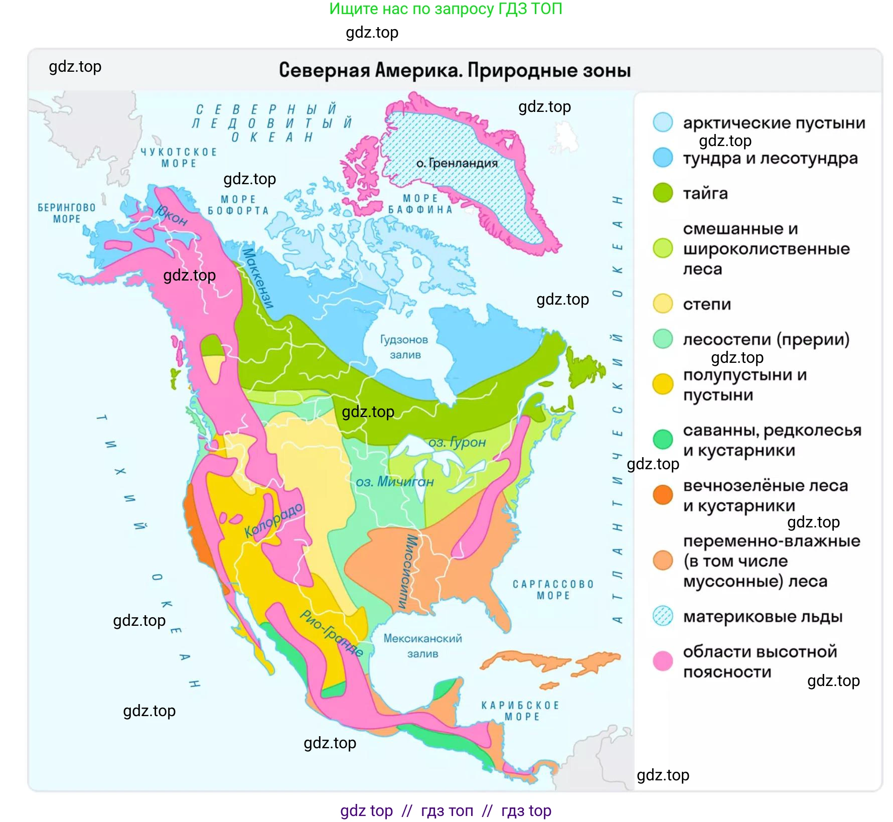 География, 7 класс Мой тренажёр, автор: Николина Вера Викторовна, издательство Просвещение, Москва, 2023, жёлтого цвета, страница 65, номер 29, Решение 2 (продолжение 3)