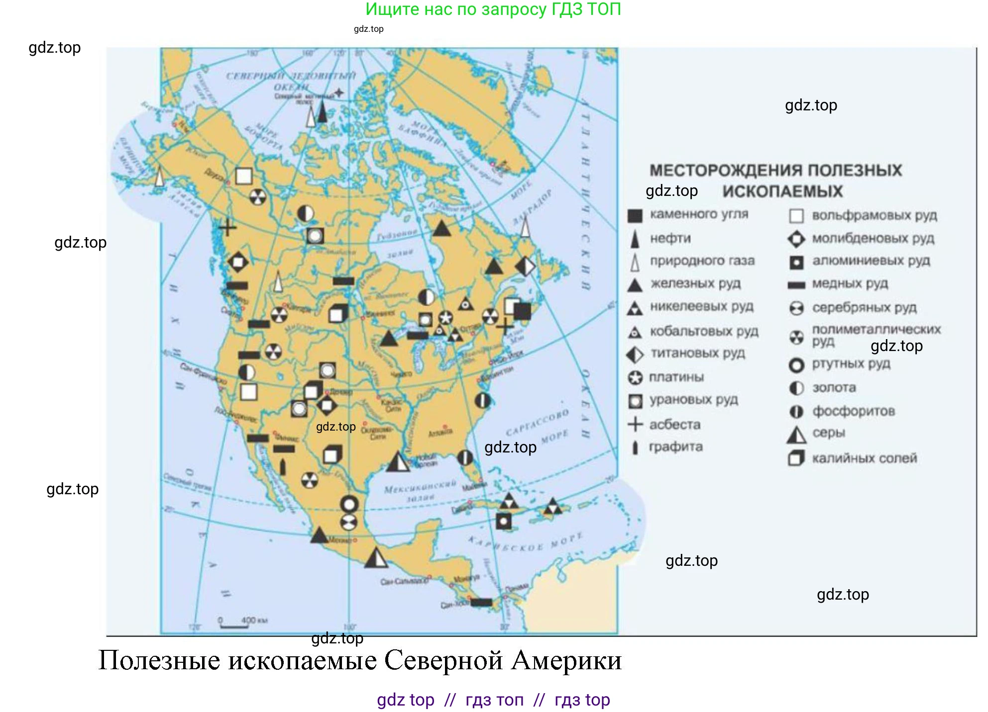 География, 7 класс Мой тренажёр, автор: Николина Вера Викторовна, издательство Просвещение, Москва, 2023, жёлтого цвета, страница 58, номер 3, Решение 2 (продолжение 2)