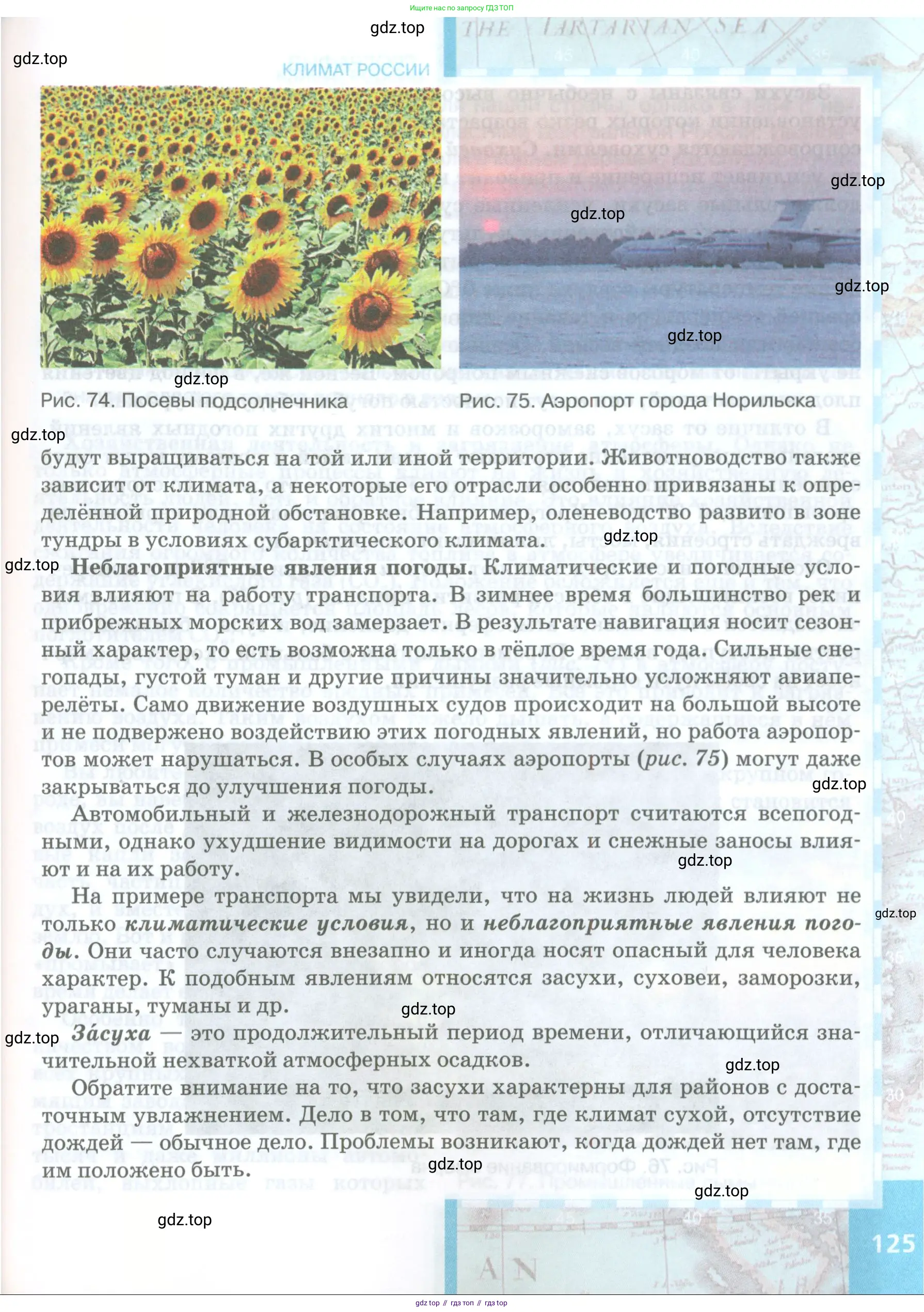 География, 8 класс Учебник, авторы: Домогацких Евгений Михайлович, Алексеевский Николай Иванович, издательство Русское слово, Москва, жёлтого цвета, страница 125