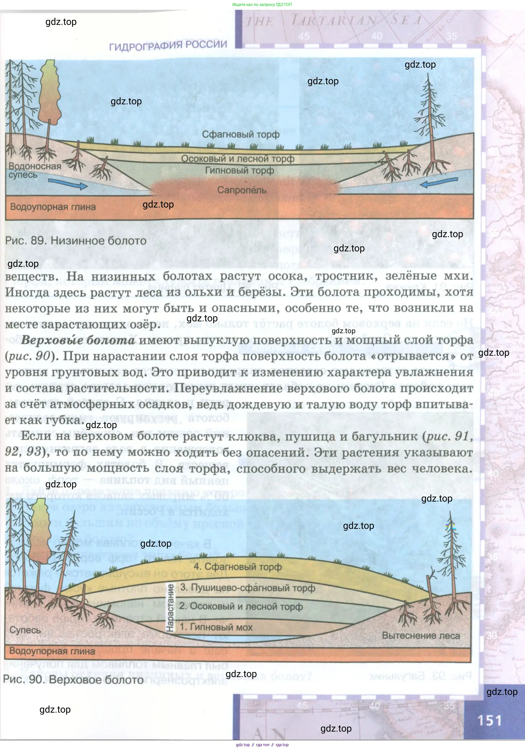 География, 8 класс Учебник, авторы: Домогацких Евгений Михайлович, Алексеевский Николай Иванович, издательство Русское слово, Москва, жёлтого цвета, страница 151
