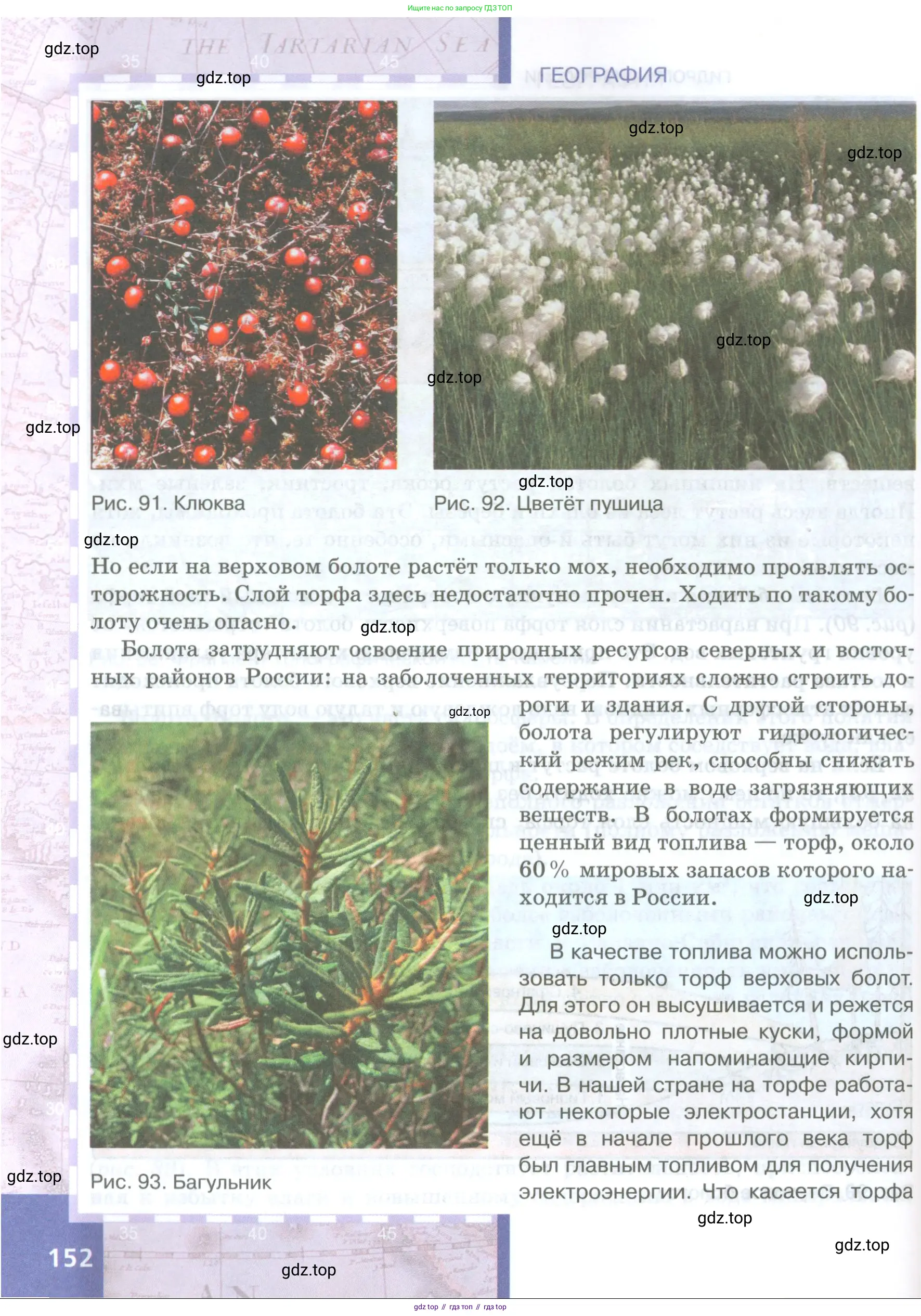География, 8 класс Учебник, авторы: Домогацких Евгений Михайлович, Алексеевский Николай Иванович, издательство Русское слово, Москва, жёлтого цвета, страница 152