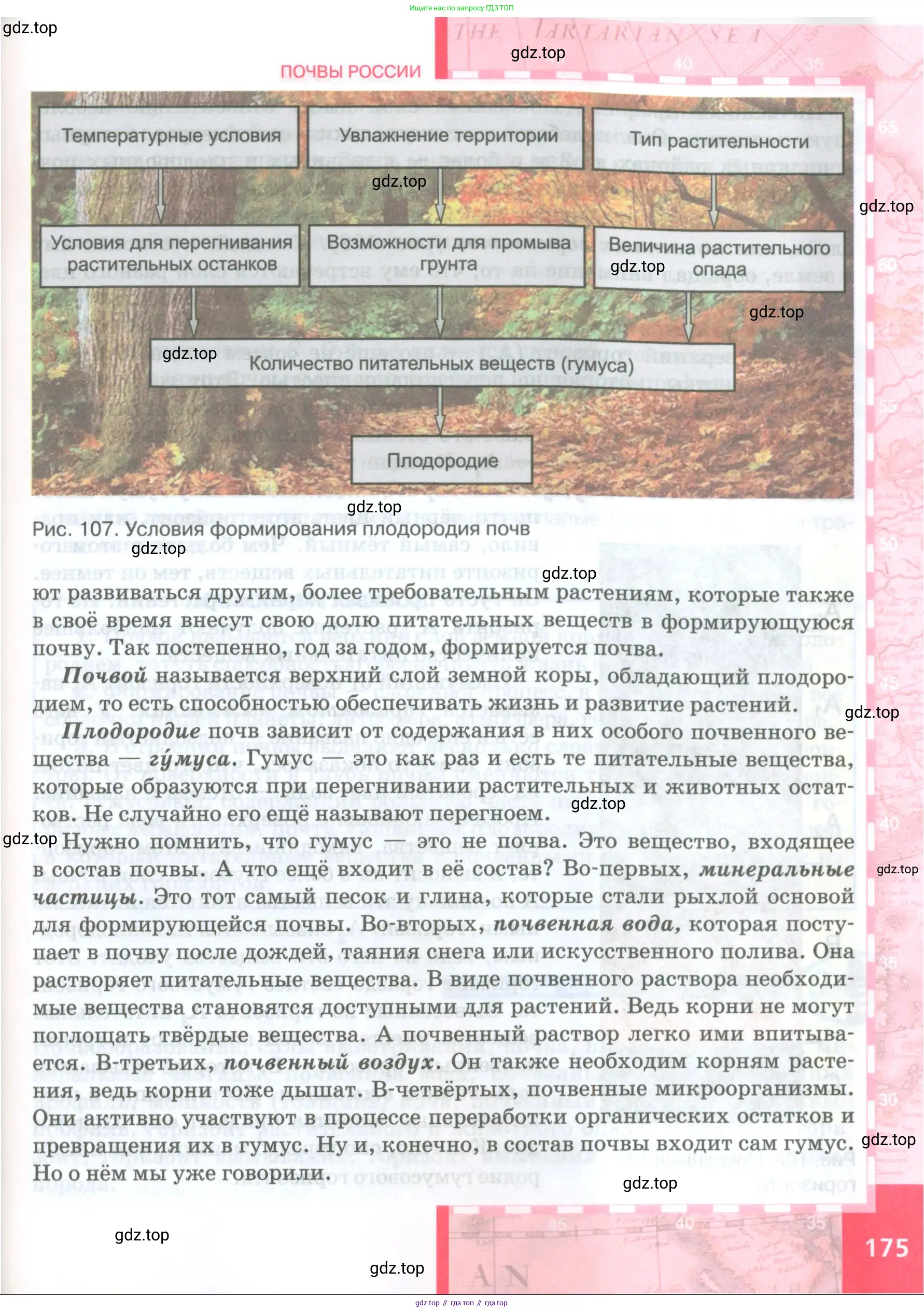 География, 8 класс Учебник, авторы: Домогацких Евгений Михайлович, Алексеевский Николай Иванович, издательство Русское слово, Москва, жёлтого цвета, страница 175