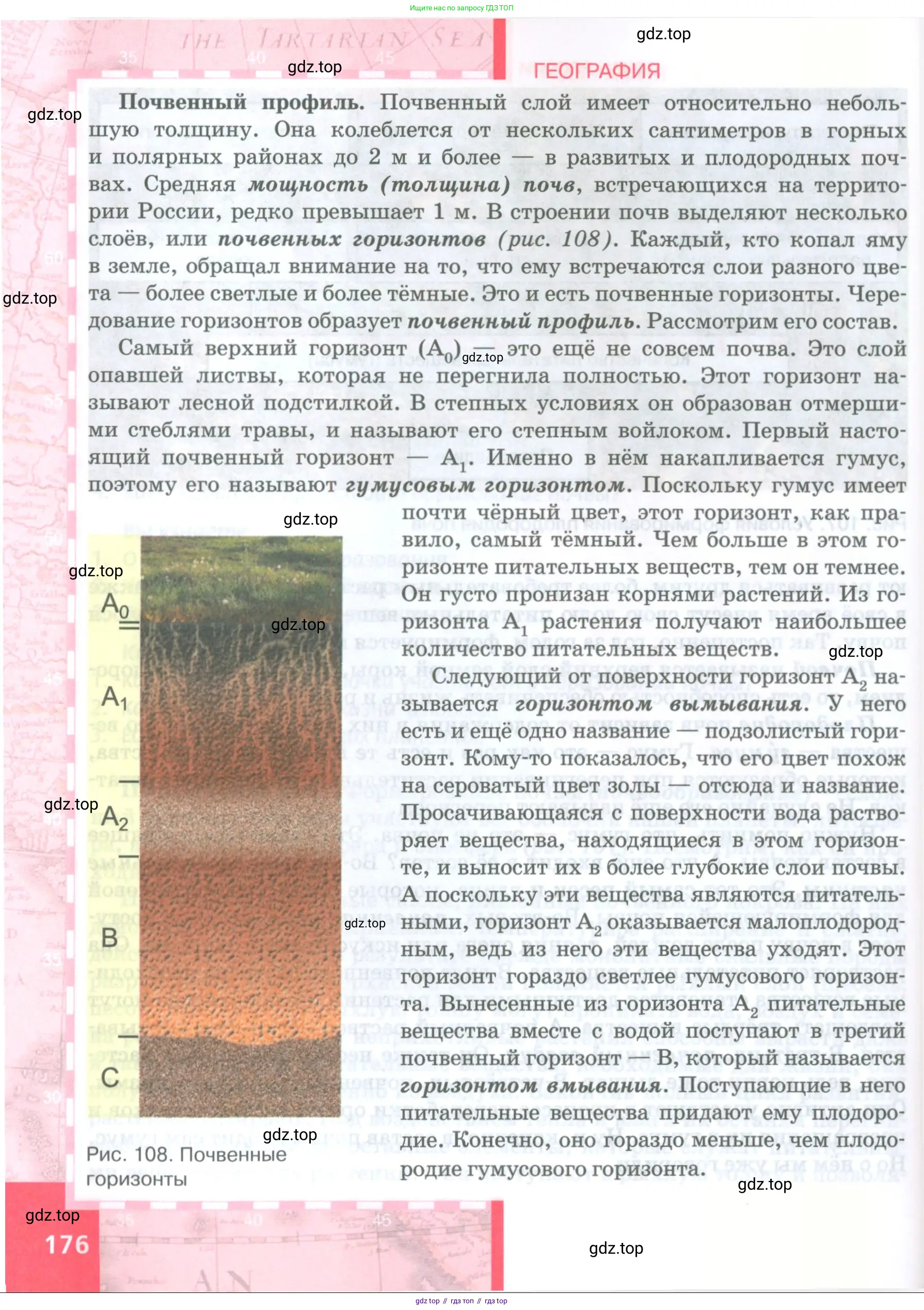 География, 8 класс Учебник, авторы: Домогацких Евгений Михайлович, Алексеевский Николай Иванович, издательство Русское слово, Москва, жёлтого цвета, страница 176
