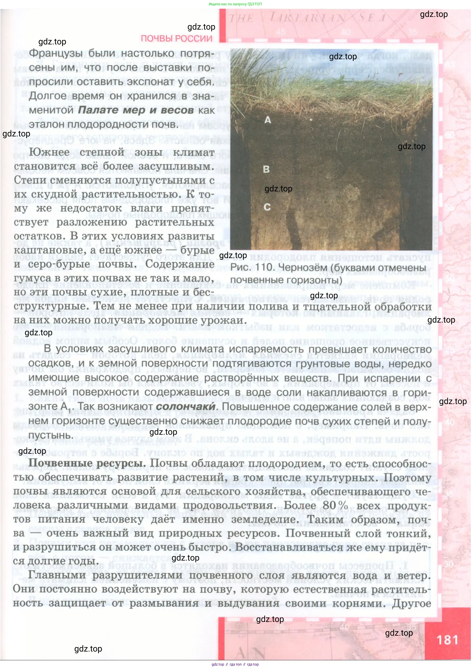 География, 8 класс Учебник, авторы: Домогацких Евгений Михайлович, Алексеевский Николай Иванович, издательство Русское слово, Москва, жёлтого цвета, страница 181