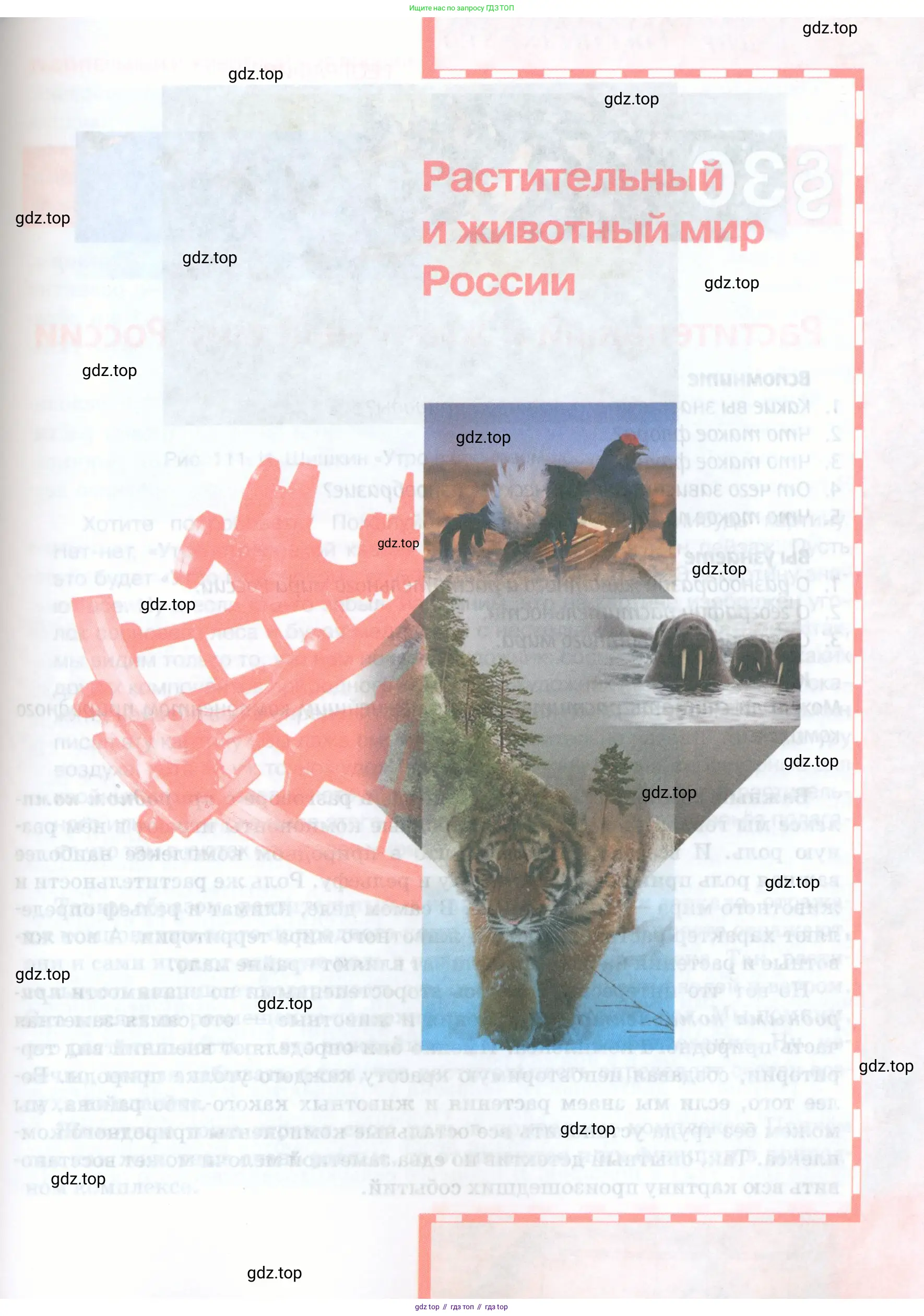 География, 8 класс Учебник, авторы: Домогацких Евгений Михайлович, Алексеевский Николай Иванович, издательство Русское слово, Москва, жёлтого цвета, страница 187