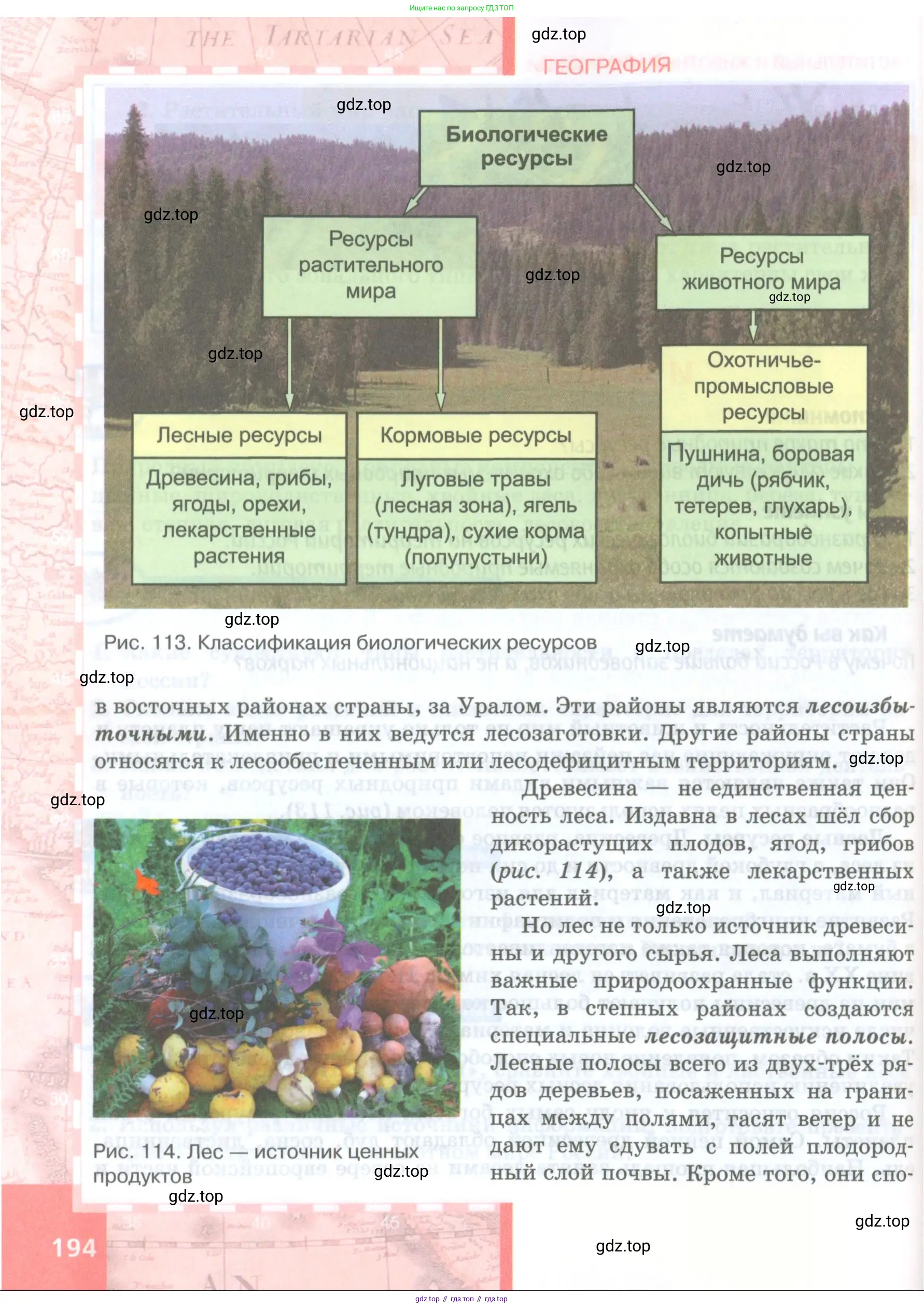 География, 8 класс Учебник, авторы: Домогацких Евгений Михайлович, Алексеевский Николай Иванович, издательство Русское слово, Москва, жёлтого цвета, страница 194