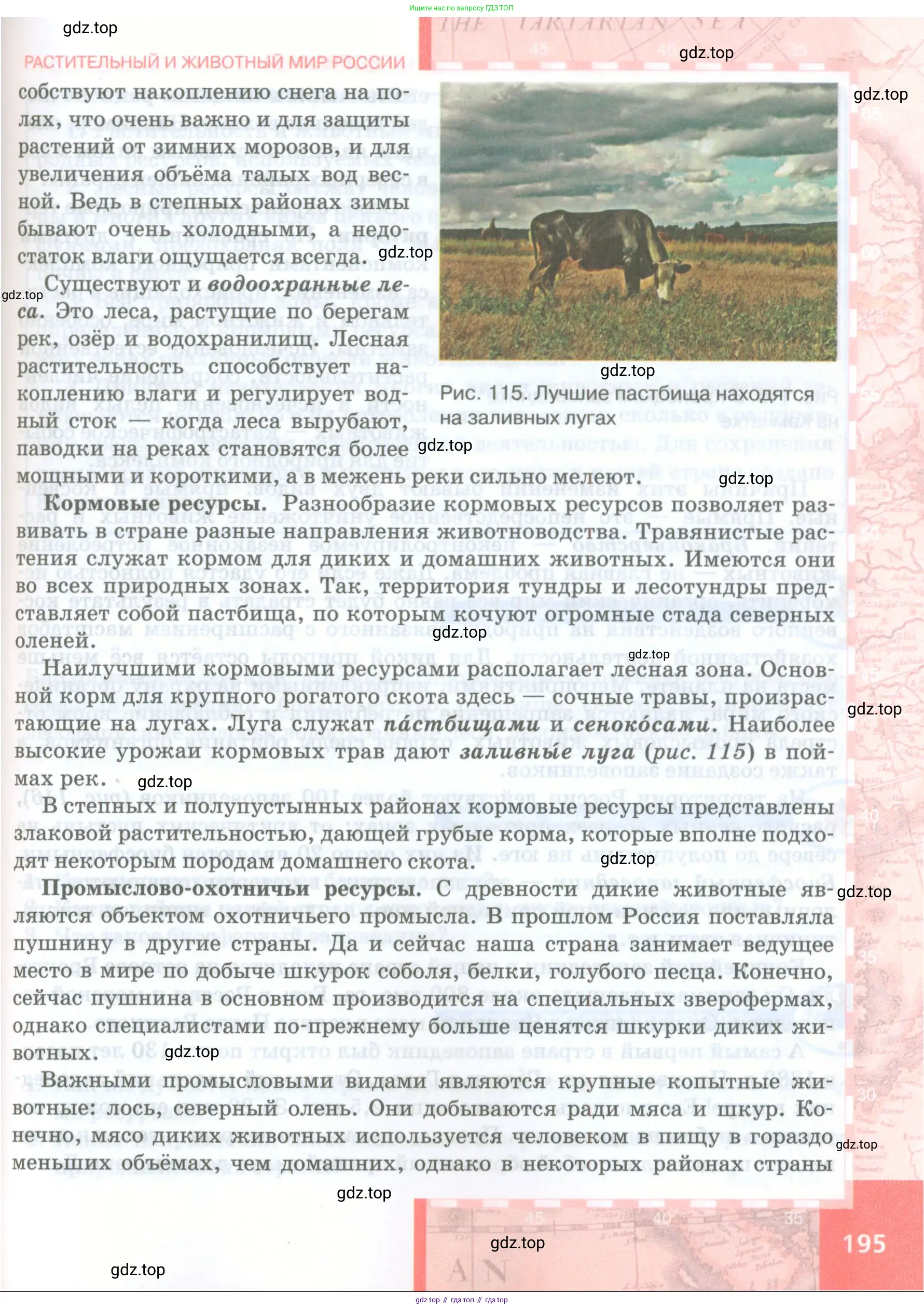 География, 8 класс Учебник, авторы: Домогацких Евгений Михайлович, Алексеевский Николай Иванович, издательство Русское слово, Москва, жёлтого цвета, страница 195
