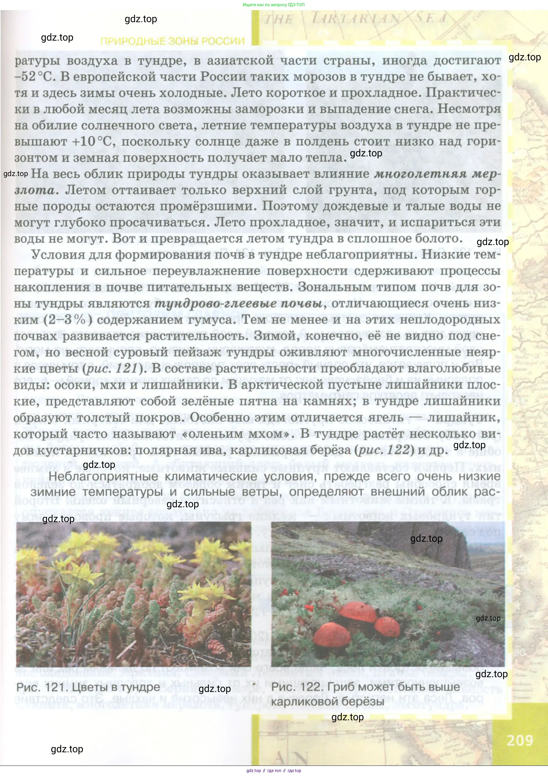 География, 8 класс Учебник, авторы: Домогацких Евгений Михайлович, Алексеевский Николай Иванович, издательство Русское слово, Москва, жёлтого цвета, страница 209