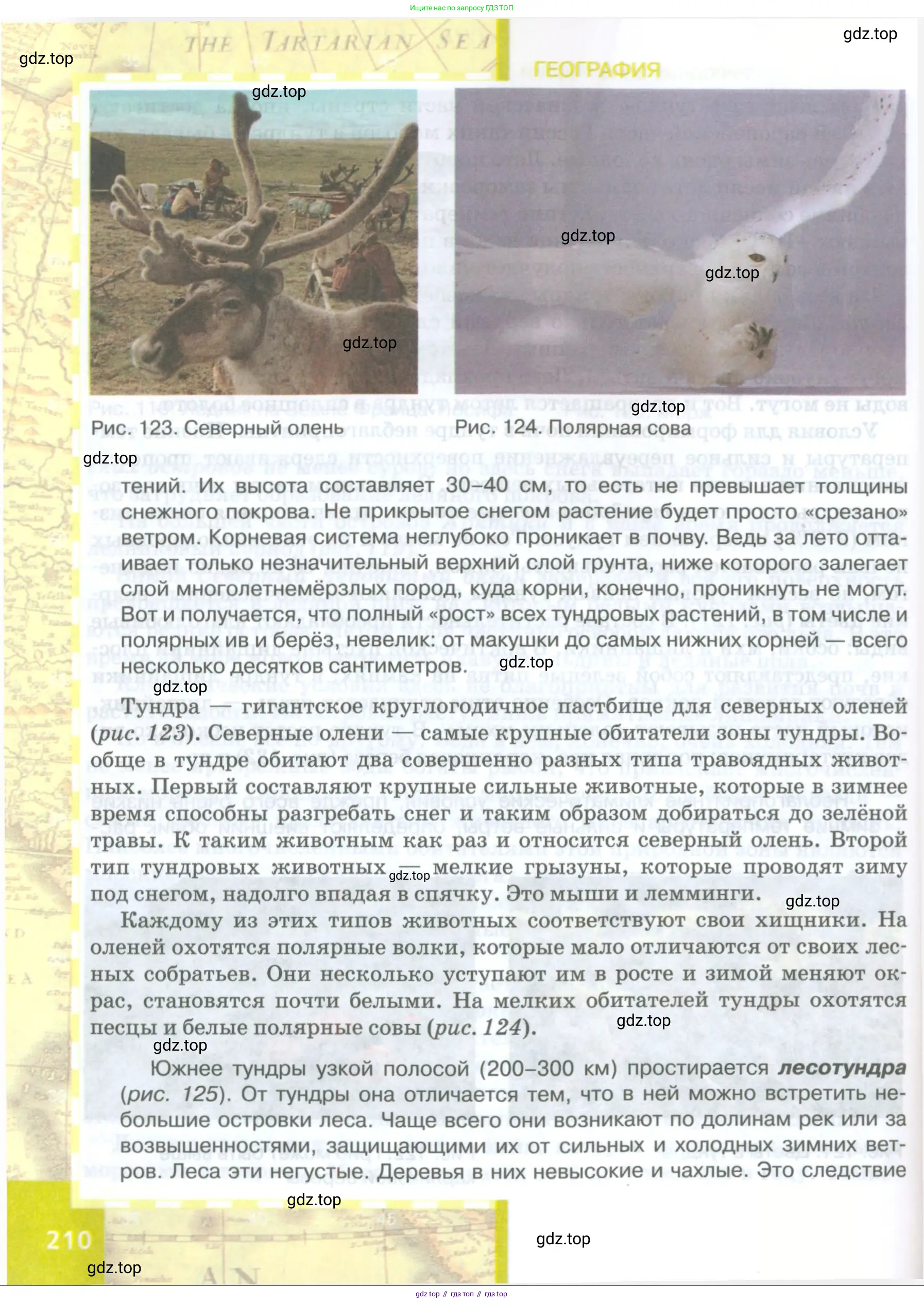 География, 8 класс Учебник, авторы: Домогацких Евгений Михайлович, Алексеевский Николай Иванович, издательство Русское слово, Москва, жёлтого цвета, страница 210