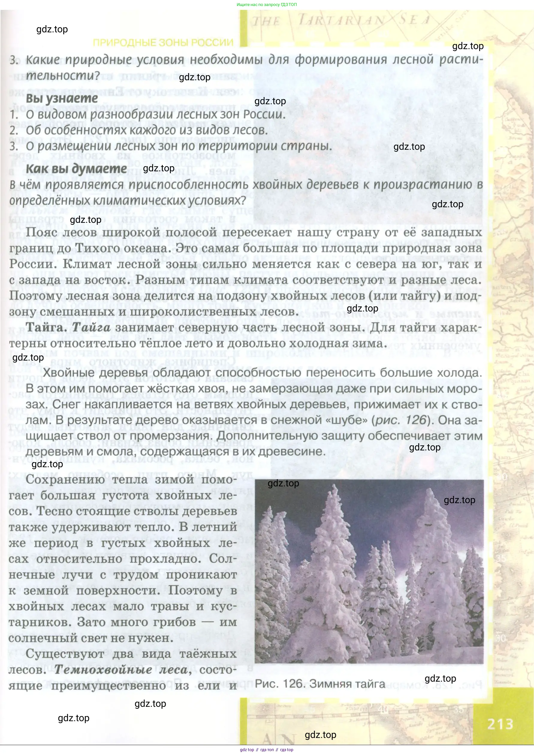 География, 8 класс Учебник, авторы: Домогацких Евгений Михайлович, Алексеевский Николай Иванович, издательство Русское слово, Москва, жёлтого цвета, страница 213