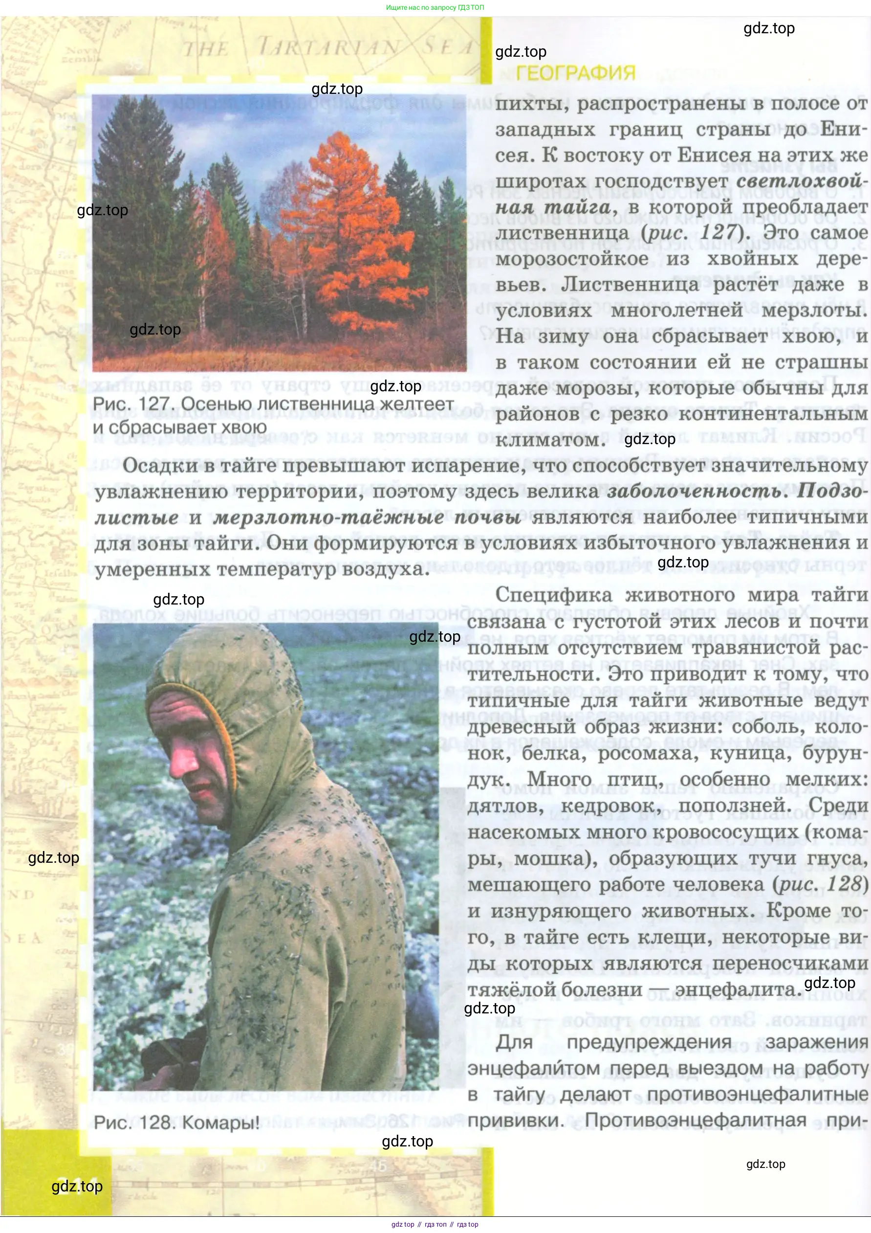 География, 8 класс Учебник, авторы: Домогацких Евгений Михайлович, Алексеевский Николай Иванович, издательство Русское слово, Москва, жёлтого цвета, страница 214