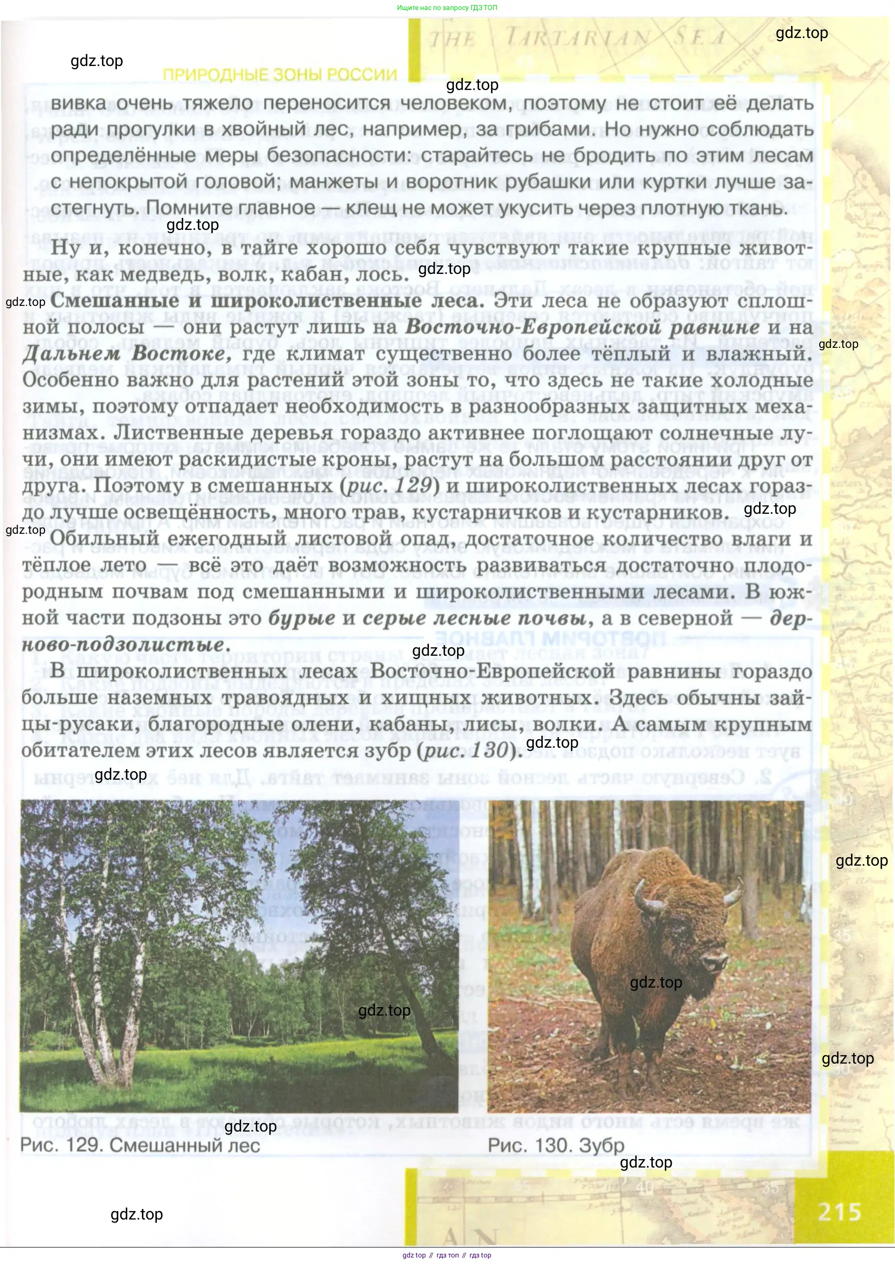 География, 8 класс Учебник, авторы: Домогацких Евгений Михайлович, Алексеевский Николай Иванович, издательство Русское слово, Москва, жёлтого цвета, страница 215