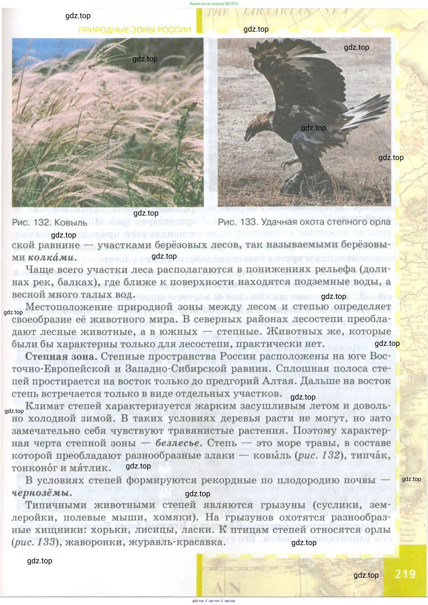 География, 8 класс Учебник, авторы: Домогацких Евгений Михайлович, Алексеевский Николай Иванович, издательство Русское слово, Москва, жёлтого цвета, страница 219