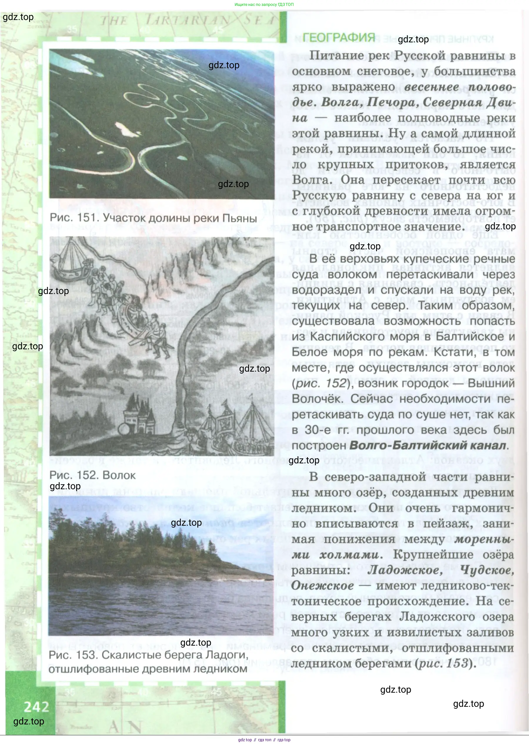 География, 8 класс Учебник, авторы: Домогацких Евгений Михайлович, Алексеевский Николай Иванович, издательство Русское слово, Москва, жёлтого цвета, страница 242