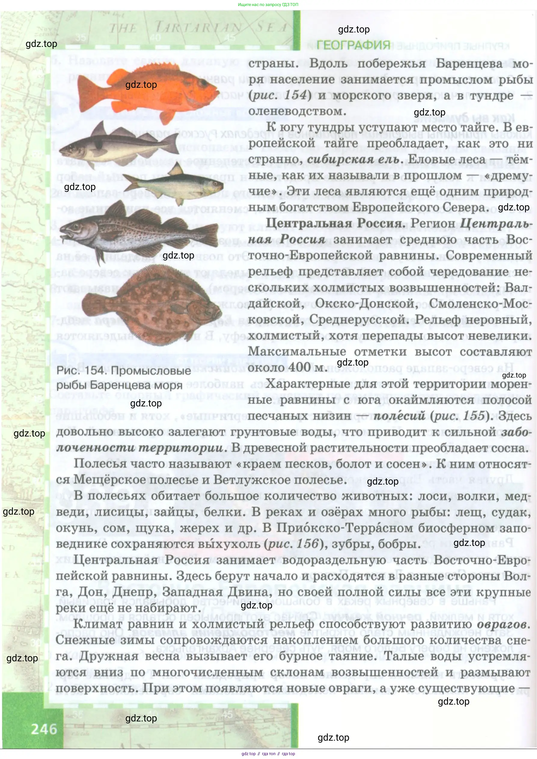География, 8 класс Учебник, авторы: Домогацких Евгений Михайлович, Алексеевский Николай Иванович, издательство Русское слово, Москва, жёлтого цвета, страница 246