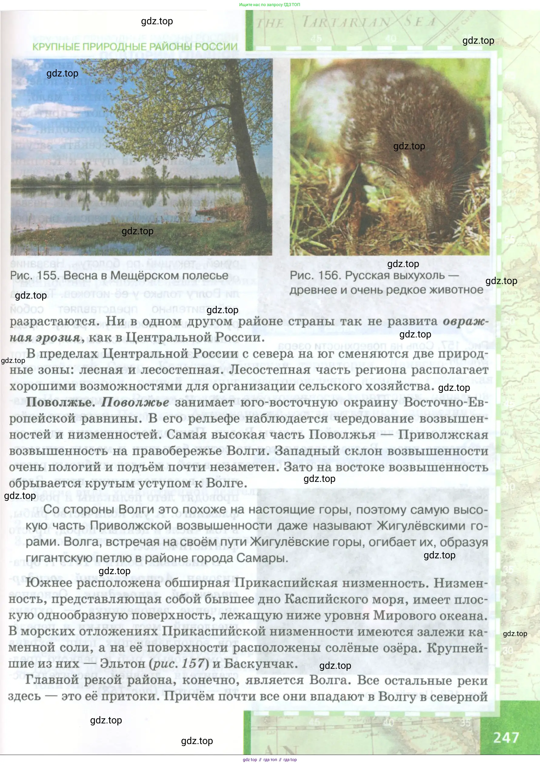 География, 8 класс Учебник, авторы: Домогацких Евгений Михайлович, Алексеевский Николай Иванович, издательство Русское слово, Москва, жёлтого цвета, страница 247