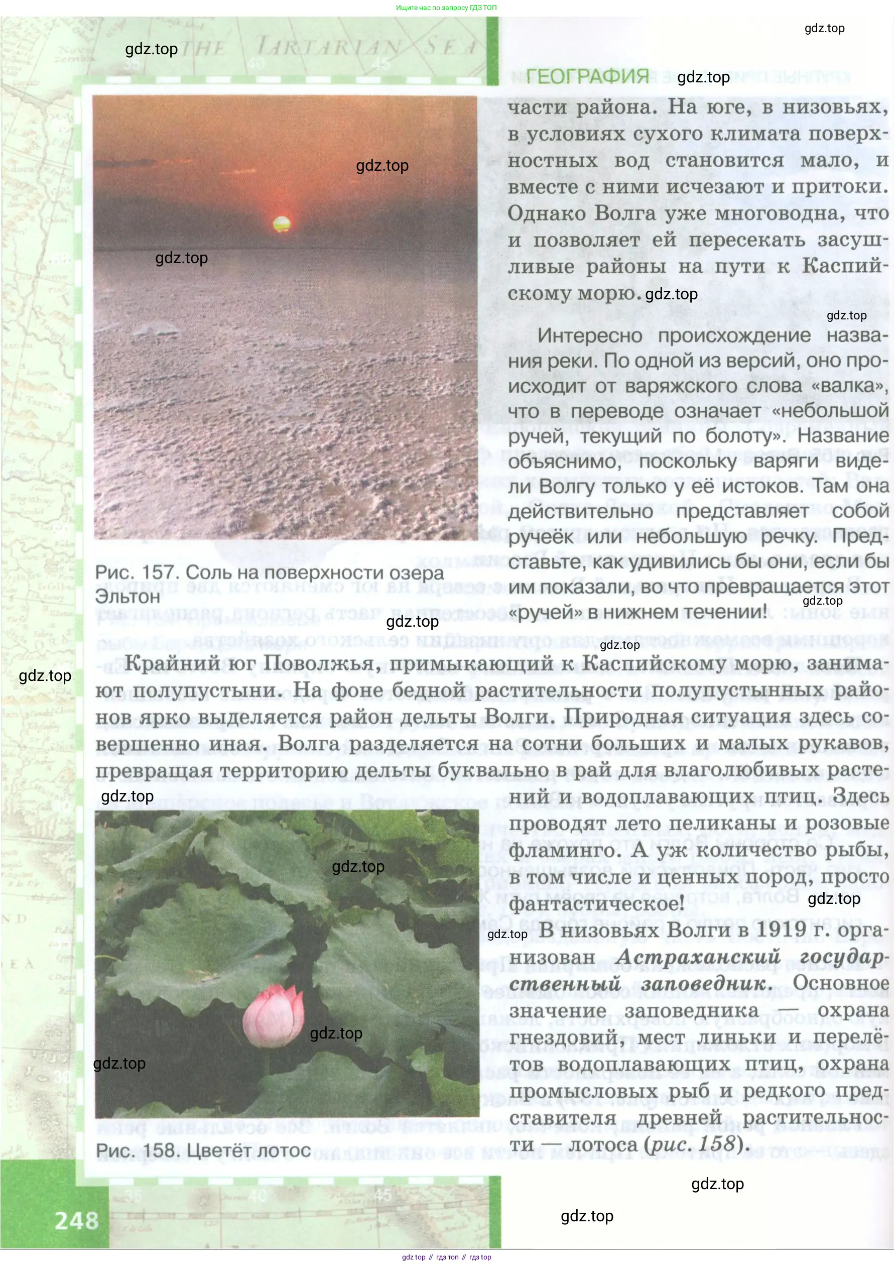 География, 8 класс Учебник, авторы: Домогацких Евгений Михайлович, Алексеевский Николай Иванович, издательство Русское слово, Москва, жёлтого цвета, страница 248