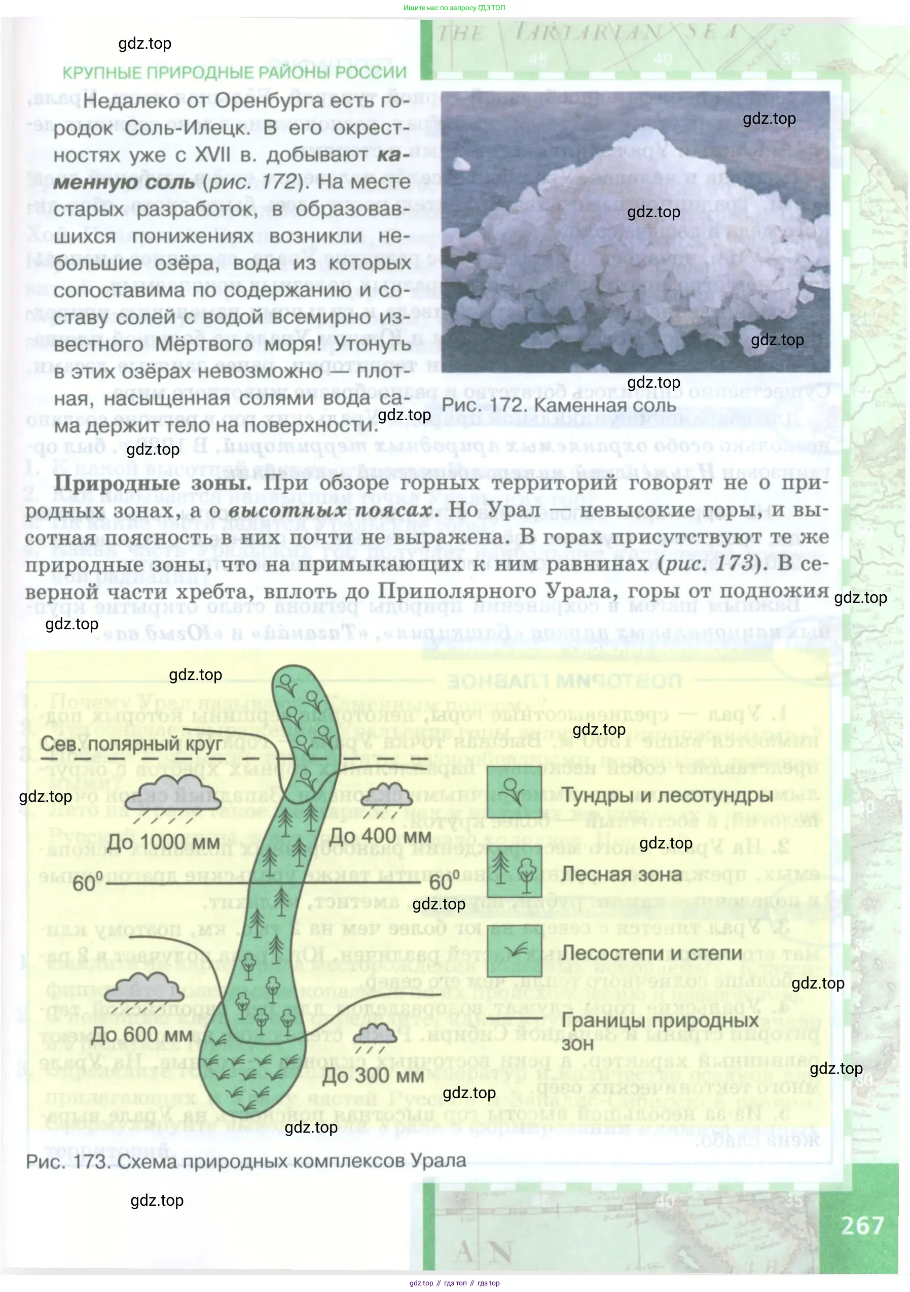 География, 8 класс Учебник, авторы: Домогацких Евгений Михайлович, Алексеевский Николай Иванович, издательство Русское слово, Москва, жёлтого цвета, страница 267