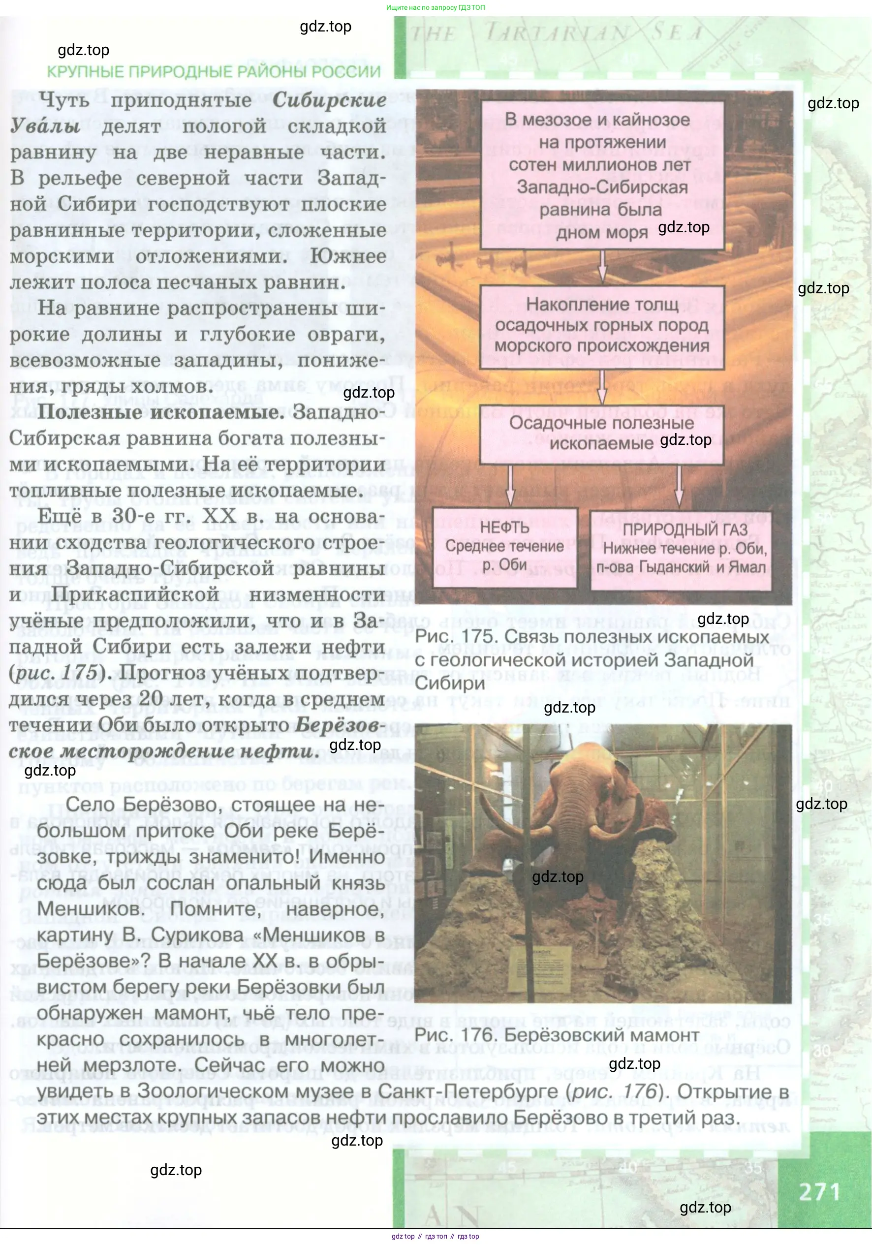 География, 8 класс Учебник, авторы: Домогацких Евгений Михайлович, Алексеевский Николай Иванович, издательство Русское слово, Москва, жёлтого цвета, страница 271