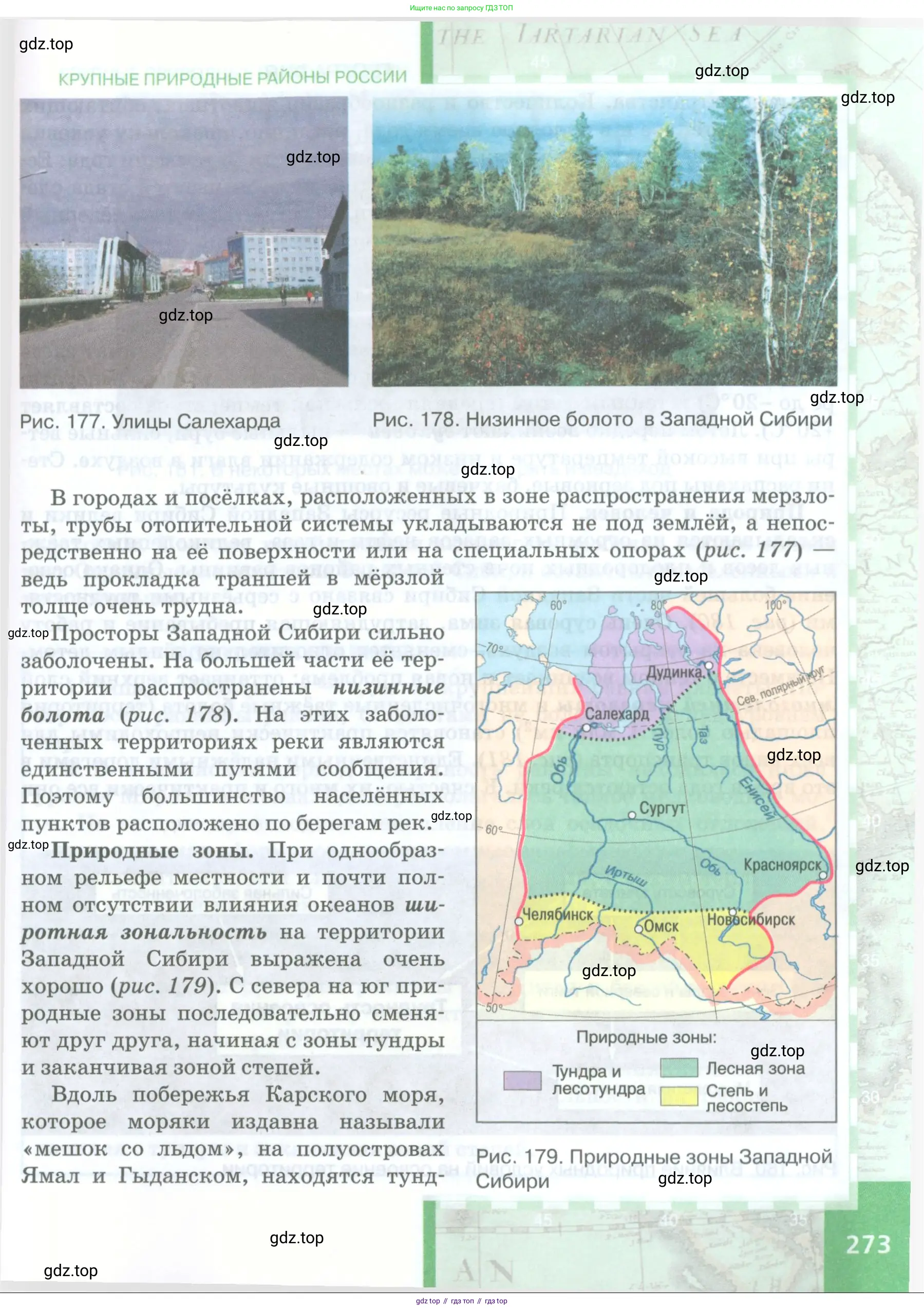 География, 8 класс Учебник, авторы: Домогацких Евгений Михайлович, Алексеевский Николай Иванович, издательство Русское слово, Москва, жёлтого цвета, страница 273