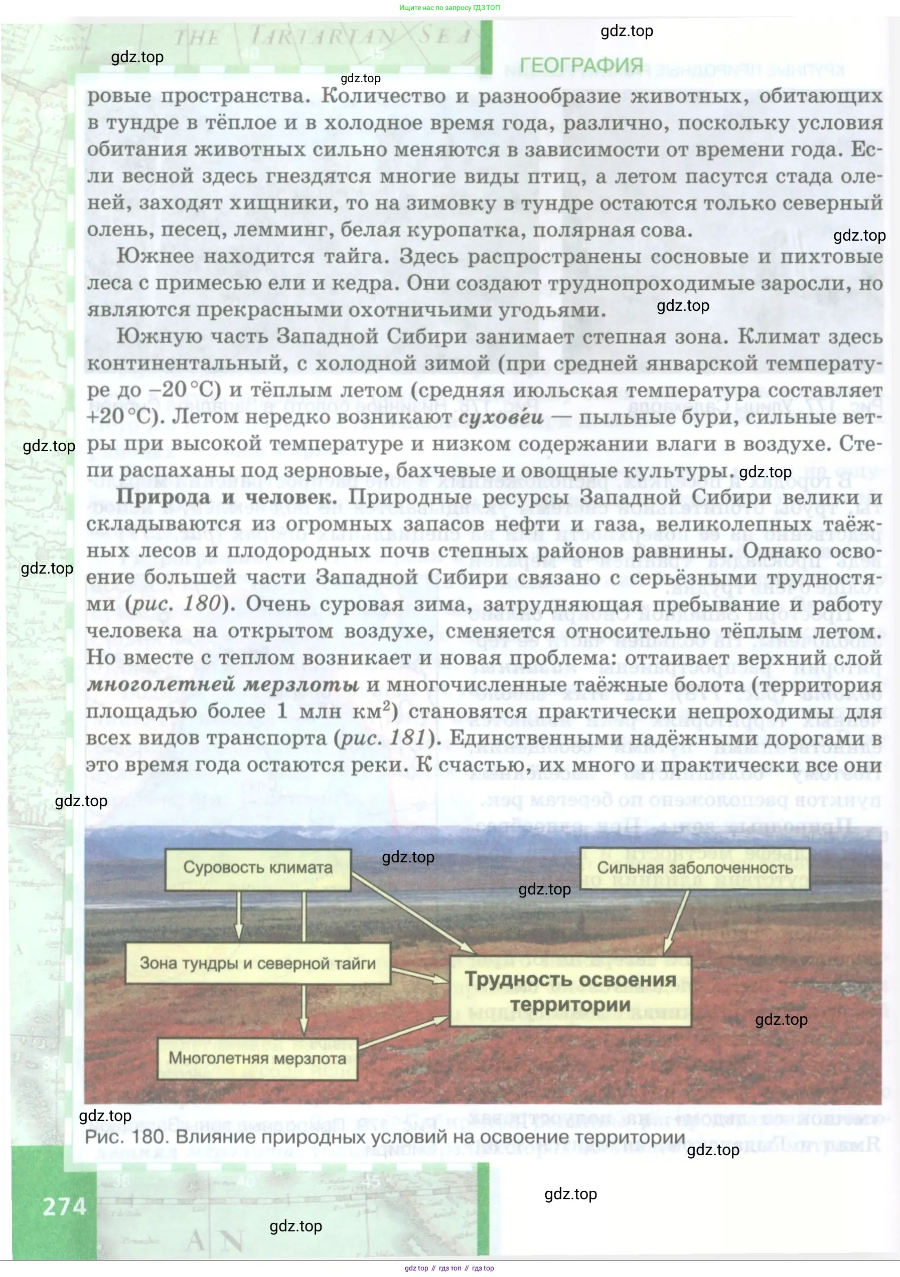 География, 8 класс Учебник, авторы: Домогацких Евгений Михайлович, Алексеевский Николай Иванович, издательство Русское слово, Москва, жёлтого цвета, страница 274