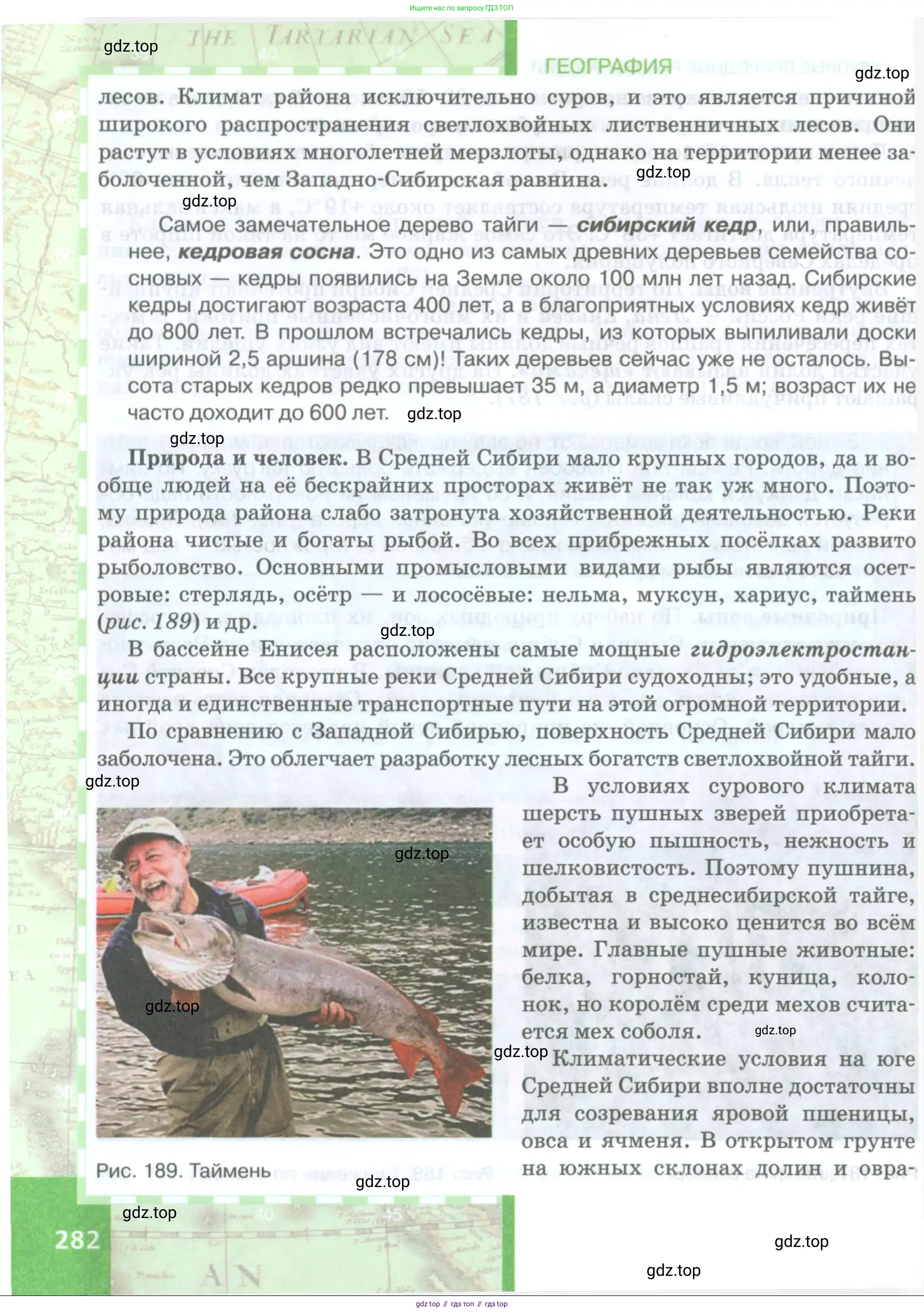География, 8 класс Учебник, авторы: Домогацких Евгений Михайлович, Алексеевский Николай Иванович, издательство Русское слово, Москва, жёлтого цвета, страница 282
