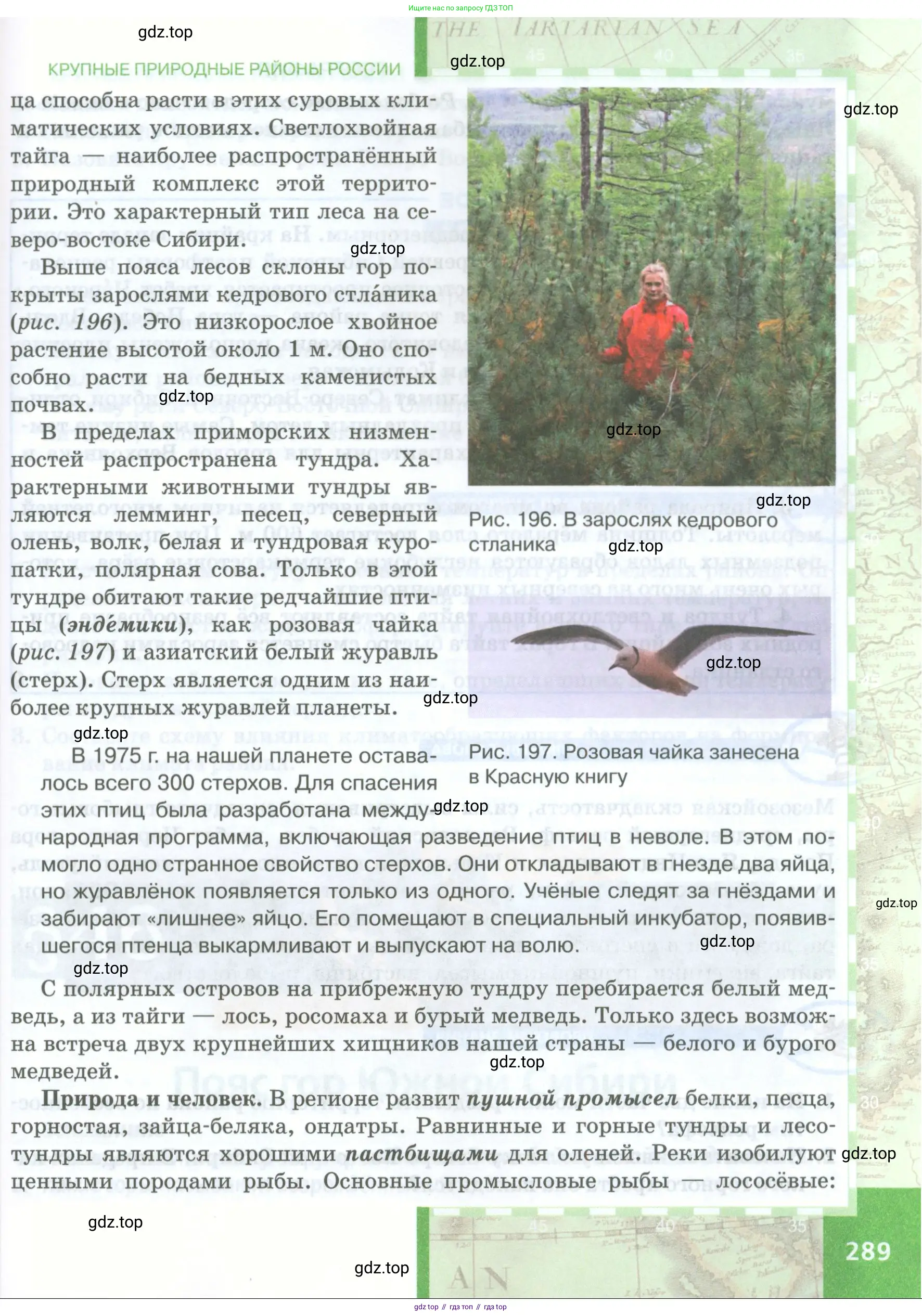 География, 8 класс Учебник, авторы: Домогацких Евгений Михайлович, Алексеевский Николай Иванович, издательство Русское слово, Москва, жёлтого цвета, страница 289