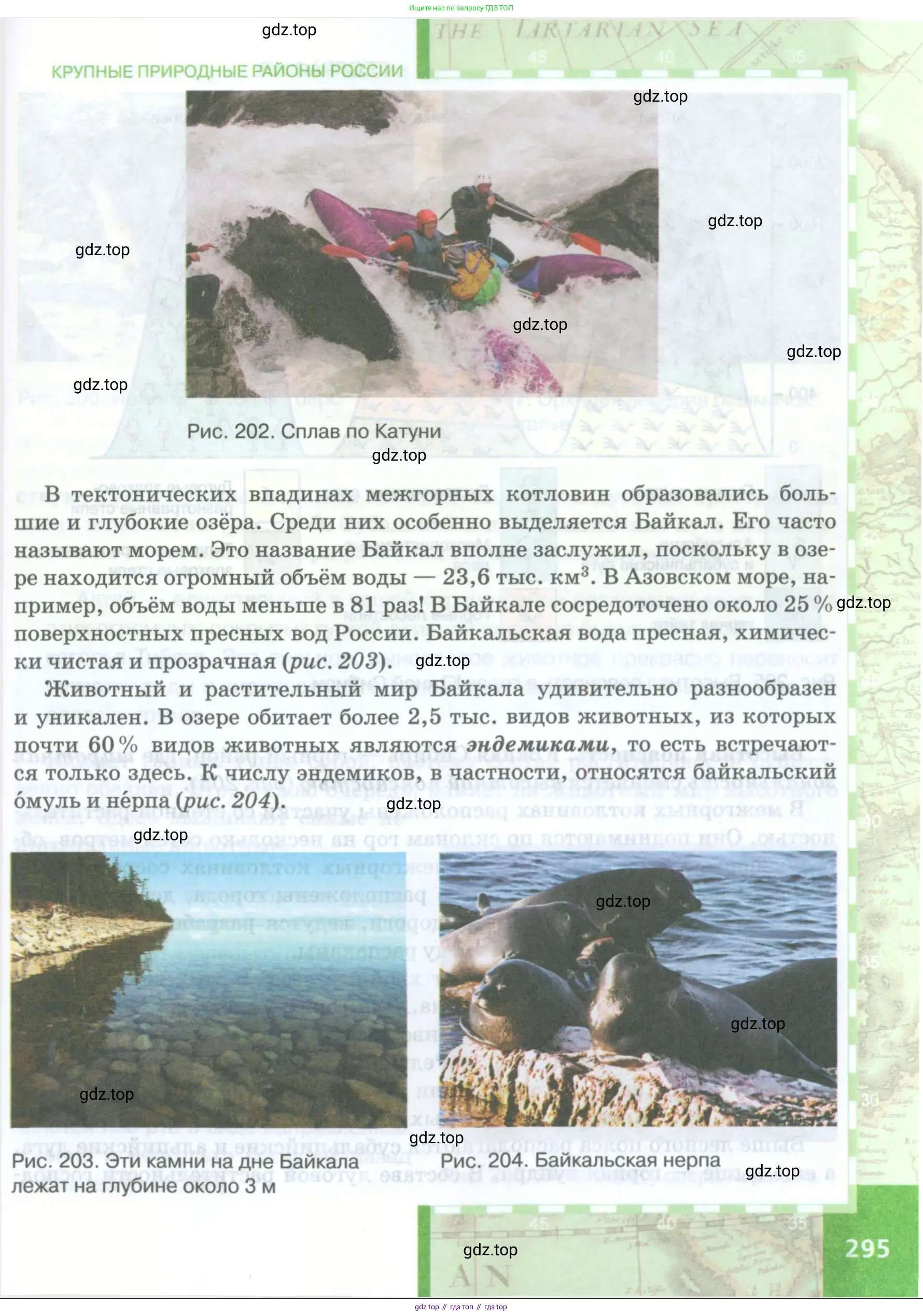 География, 8 класс Учебник, авторы: Домогацких Евгений Михайлович, Алексеевский Николай Иванович, издательство Русское слово, Москва, жёлтого цвета, страница 295