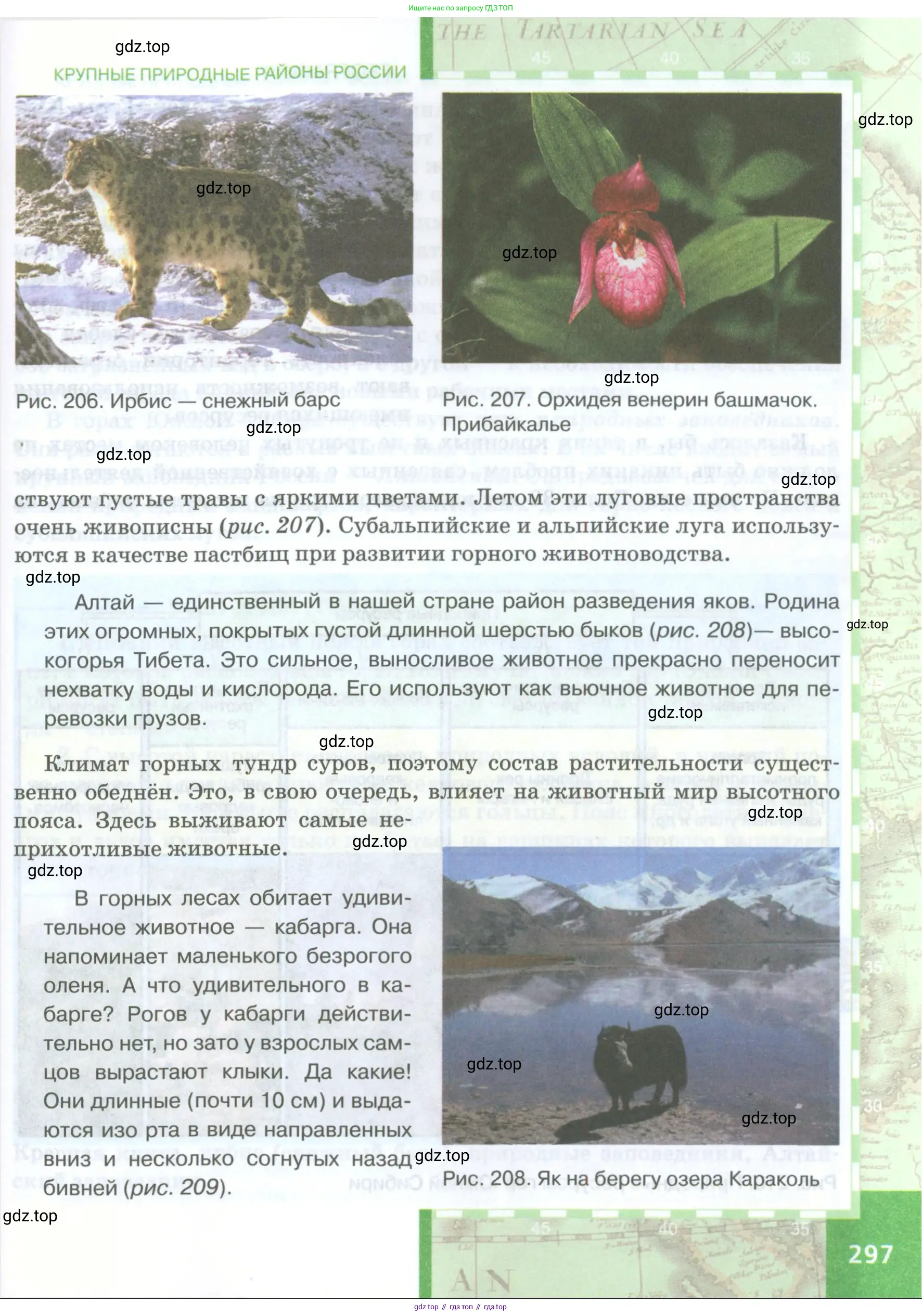 География, 8 класс Учебник, авторы: Домогацких Евгений Михайлович, Алексеевский Николай Иванович, издательство Русское слово, Москва, жёлтого цвета, страница 297